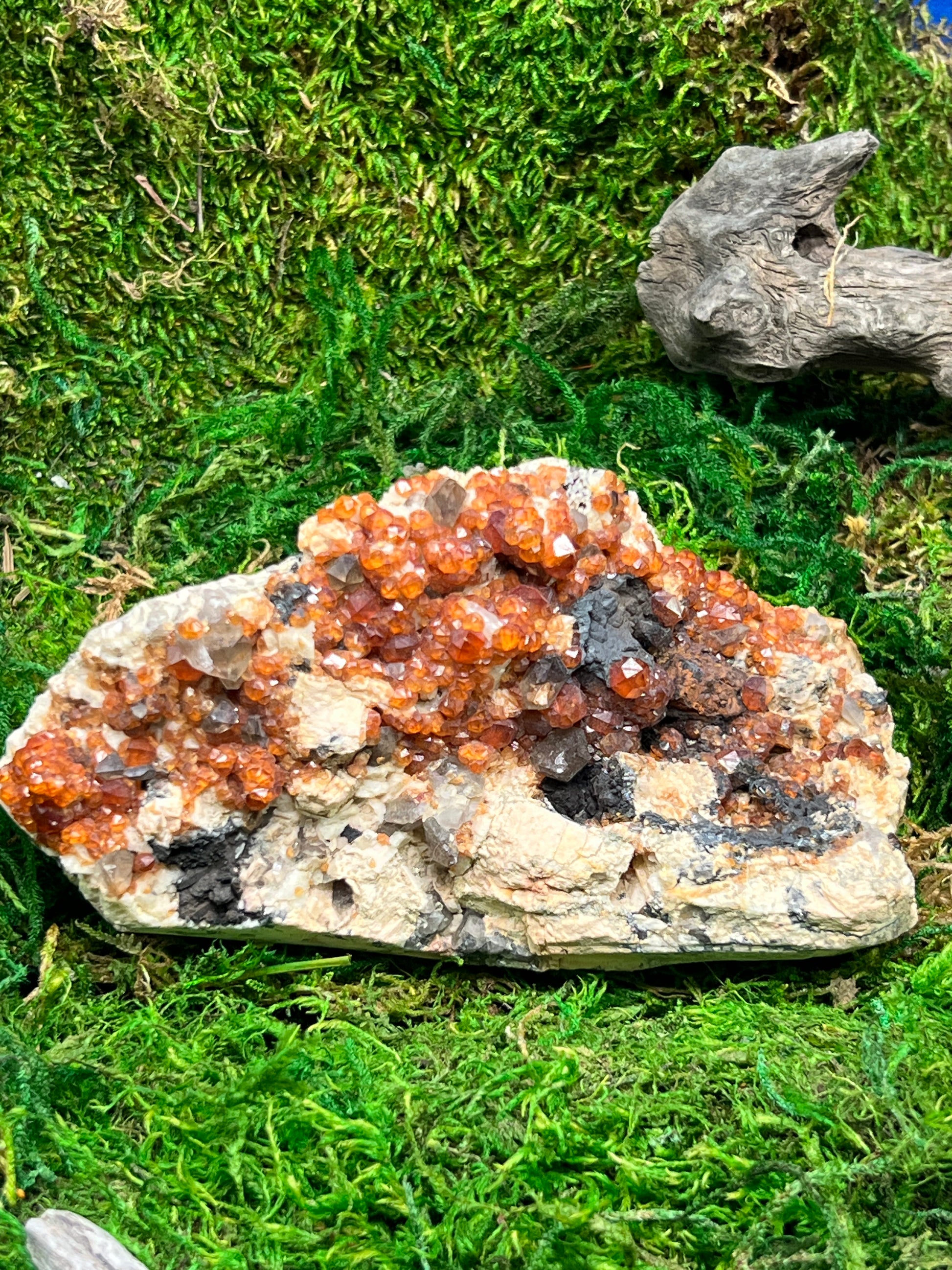 Spessartine Garnets w/ Smoky Quartz on Feldspar
