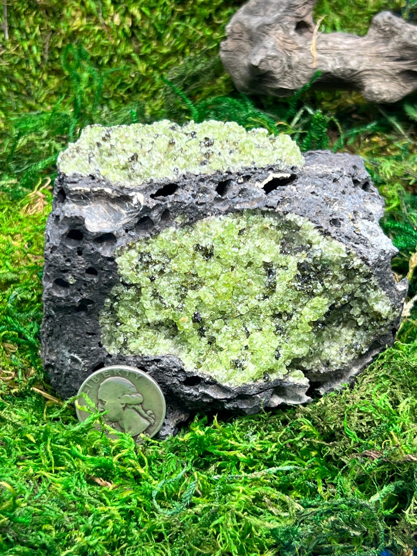 Peridot in Basalt