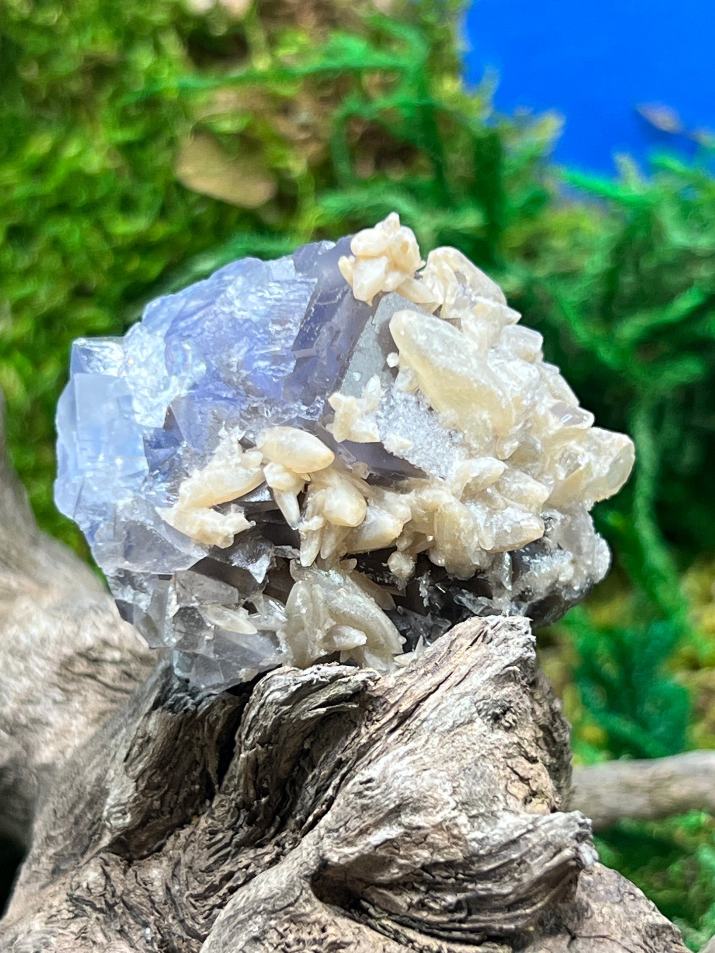 Fluorite with Calcite - Elegant Mineral Specimen
