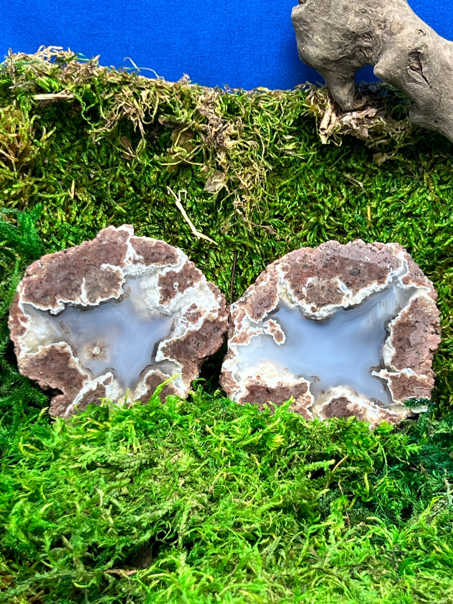Oregon Thunderegg