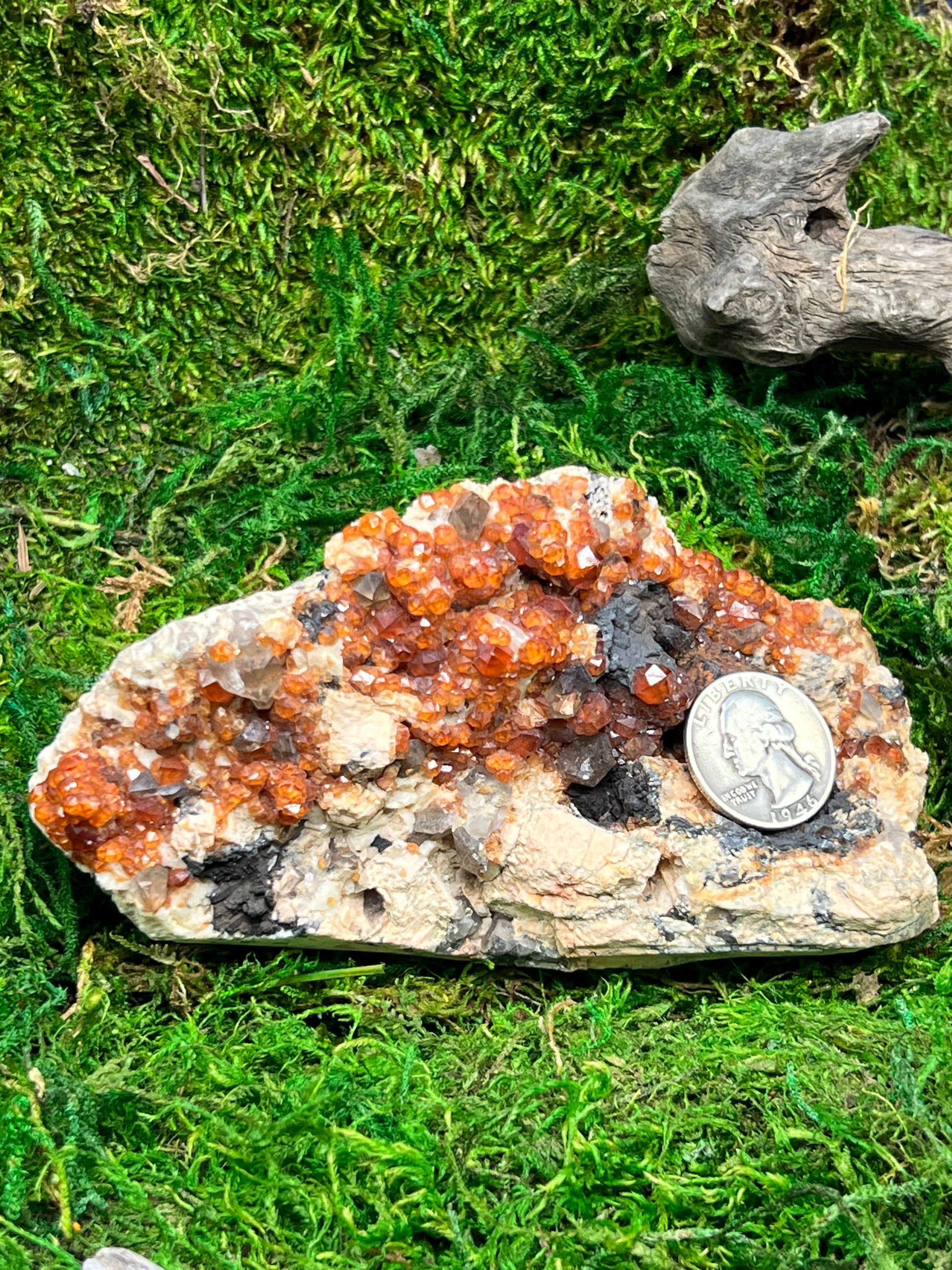 Spessartine Garnets w/ Smoky Quartz on Feldspar