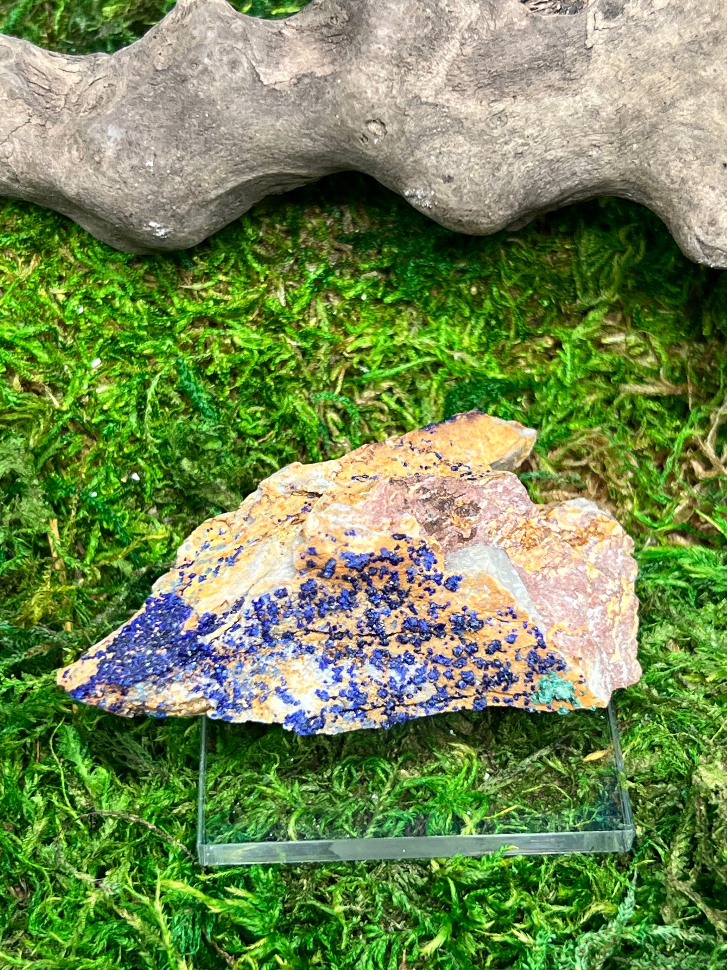 Azurite with Malachite - Ahouli Mines, Morocco