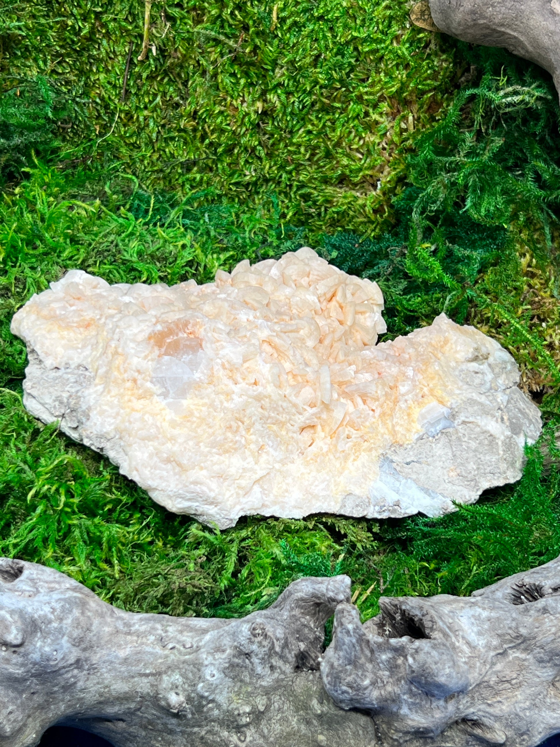 Pink Saddleback Dolomite