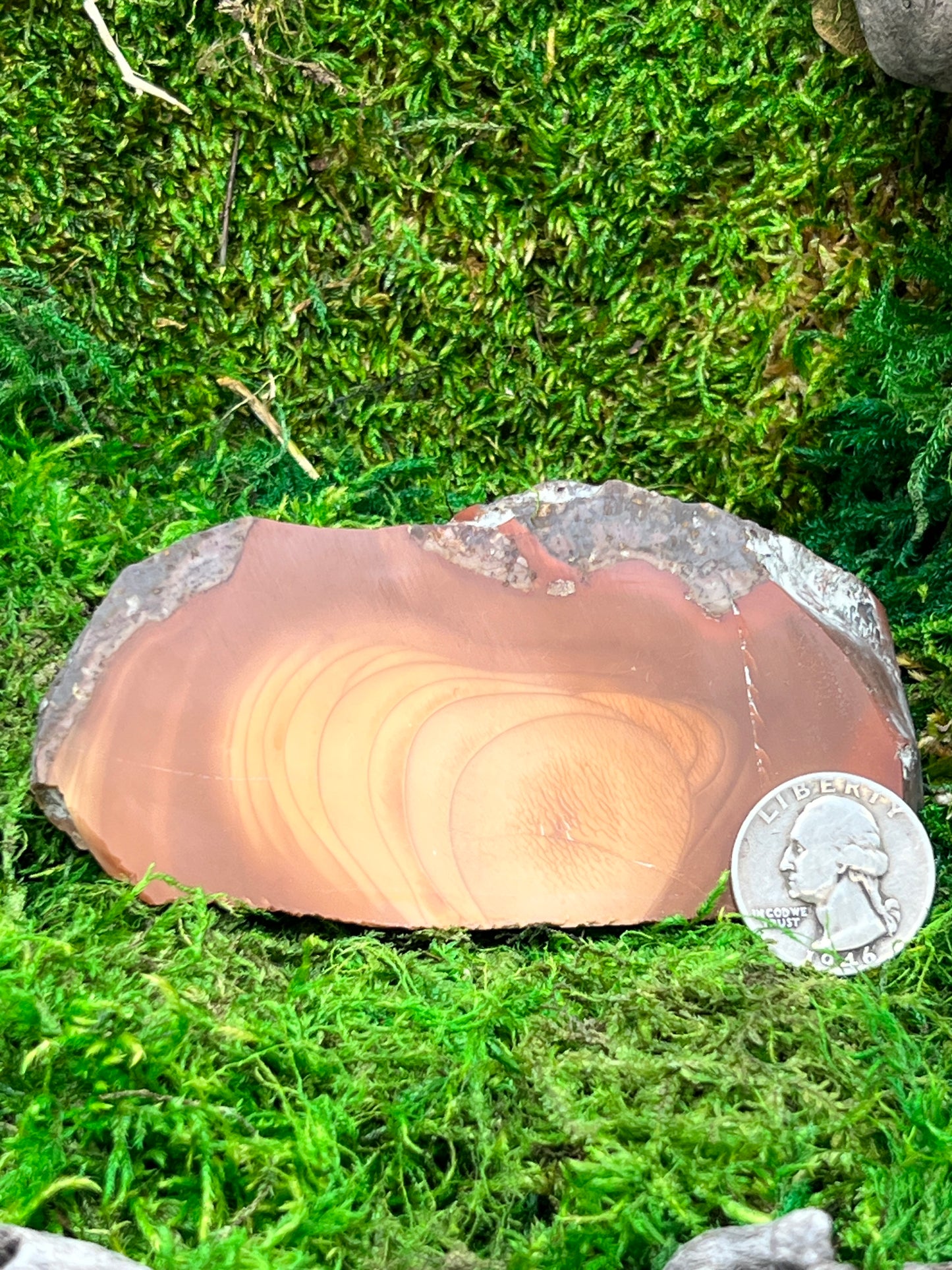 Bruneau Jasper Stone - Unique Natural Gemstone