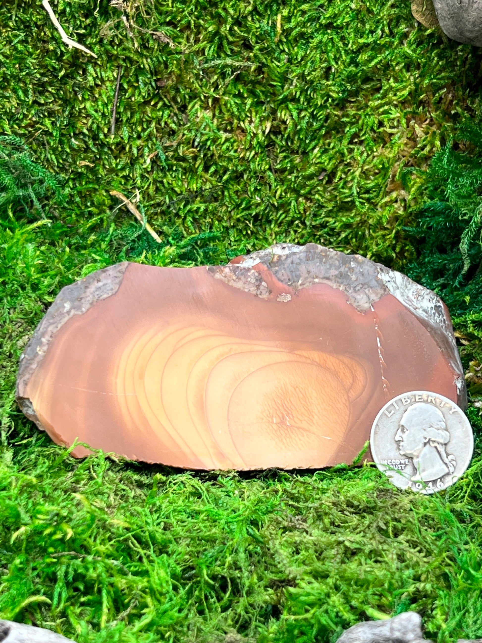 Bruneau Jasper Stone - Unique Natural Gemstone