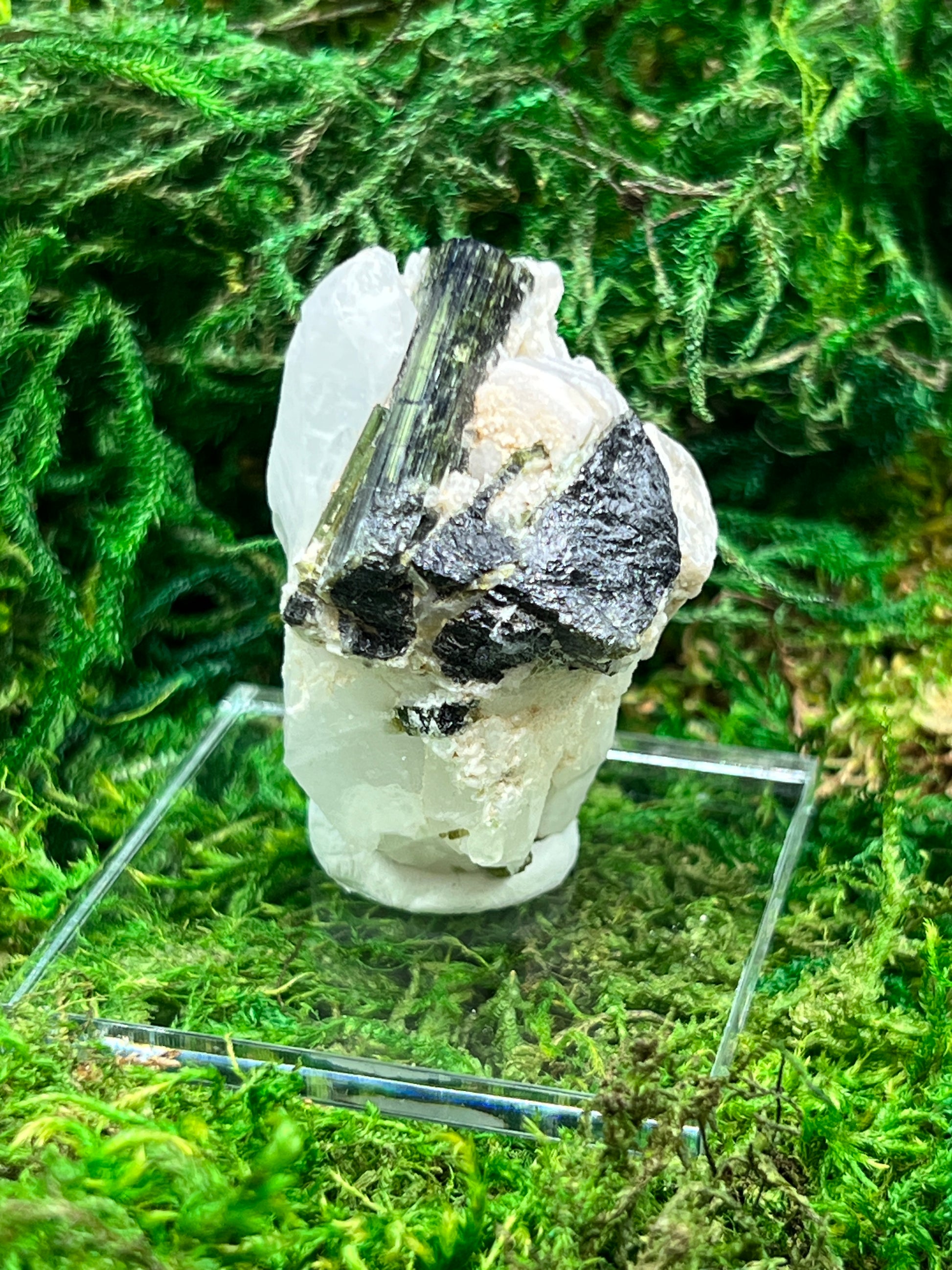 Tri-Color Cat Eye Tourmaline in Quartz Specimen