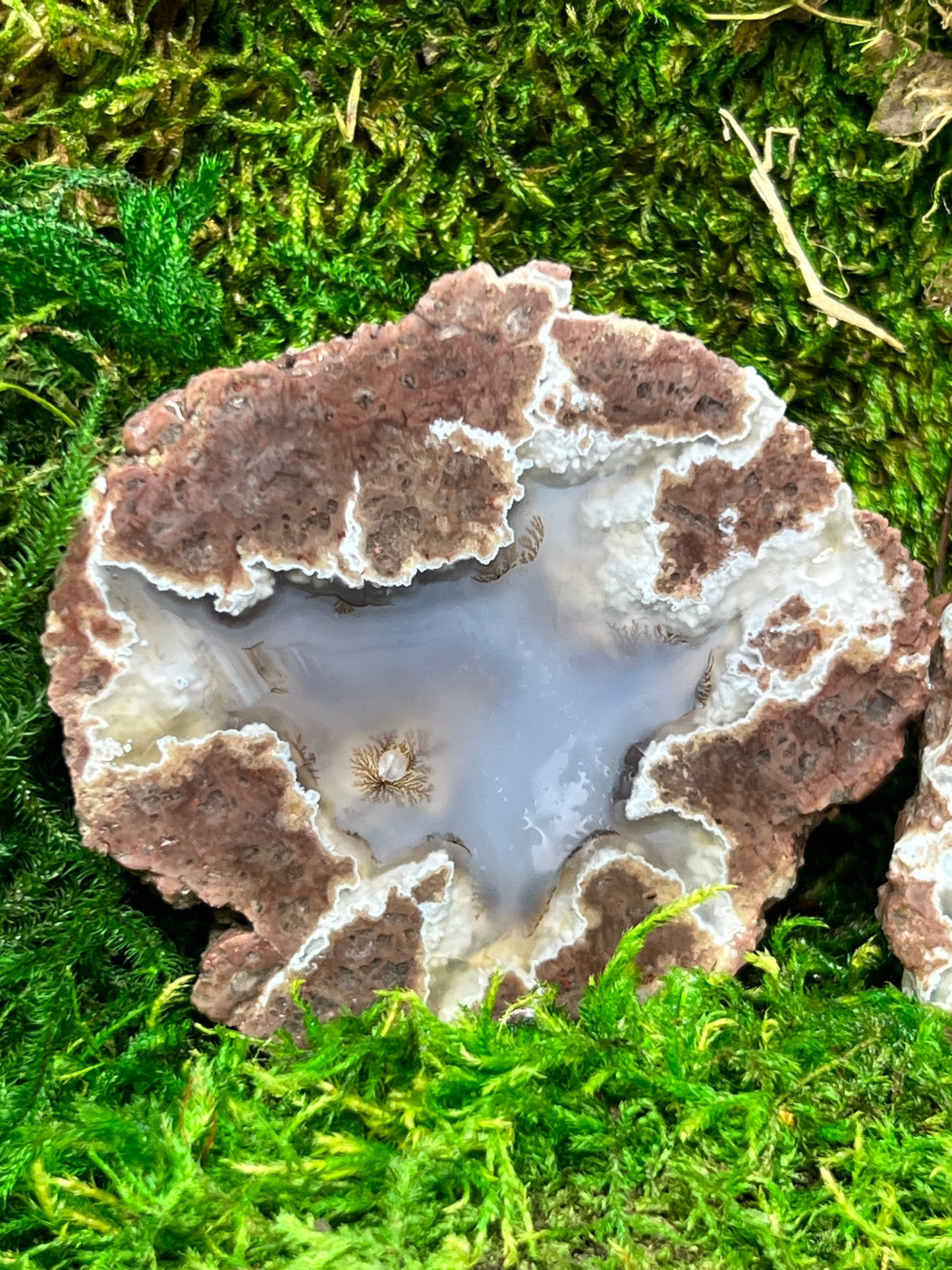 Oregon Thunderegg