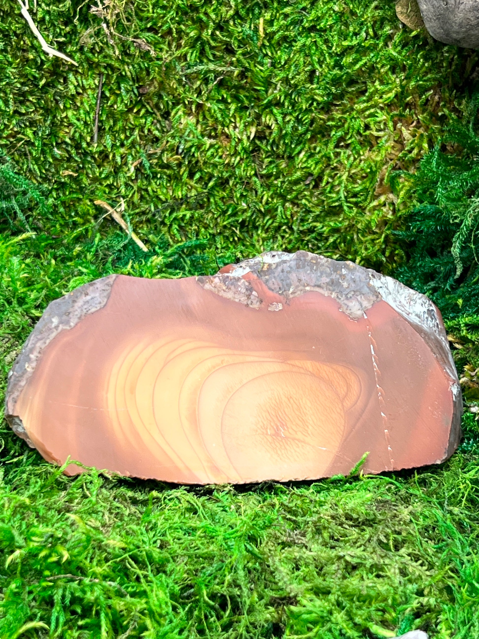 Bruneau Jasper Stone - Unique Natural Gemstone