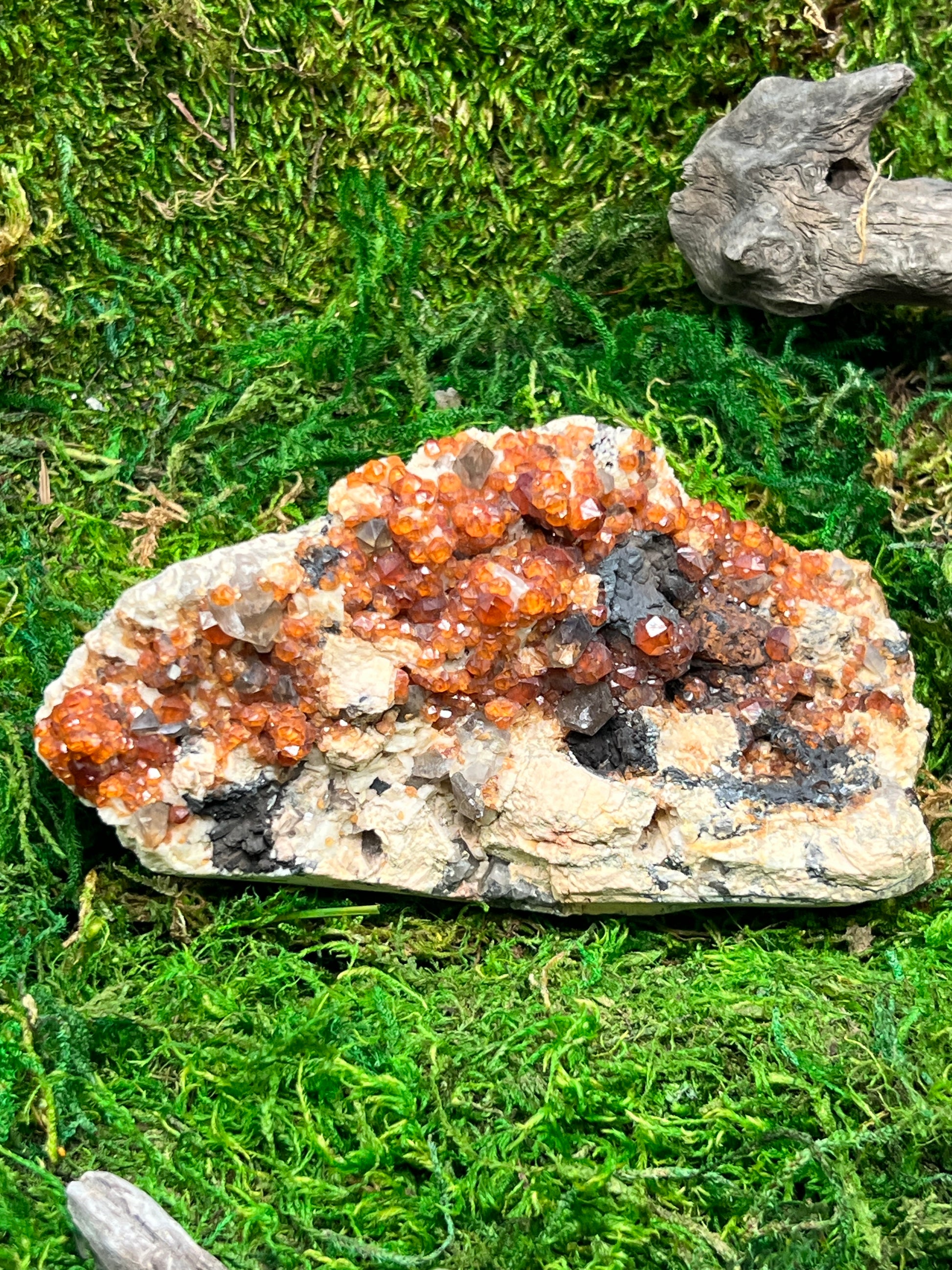 Spessartine Garnets w/ Smoky Quartz on Feldspar