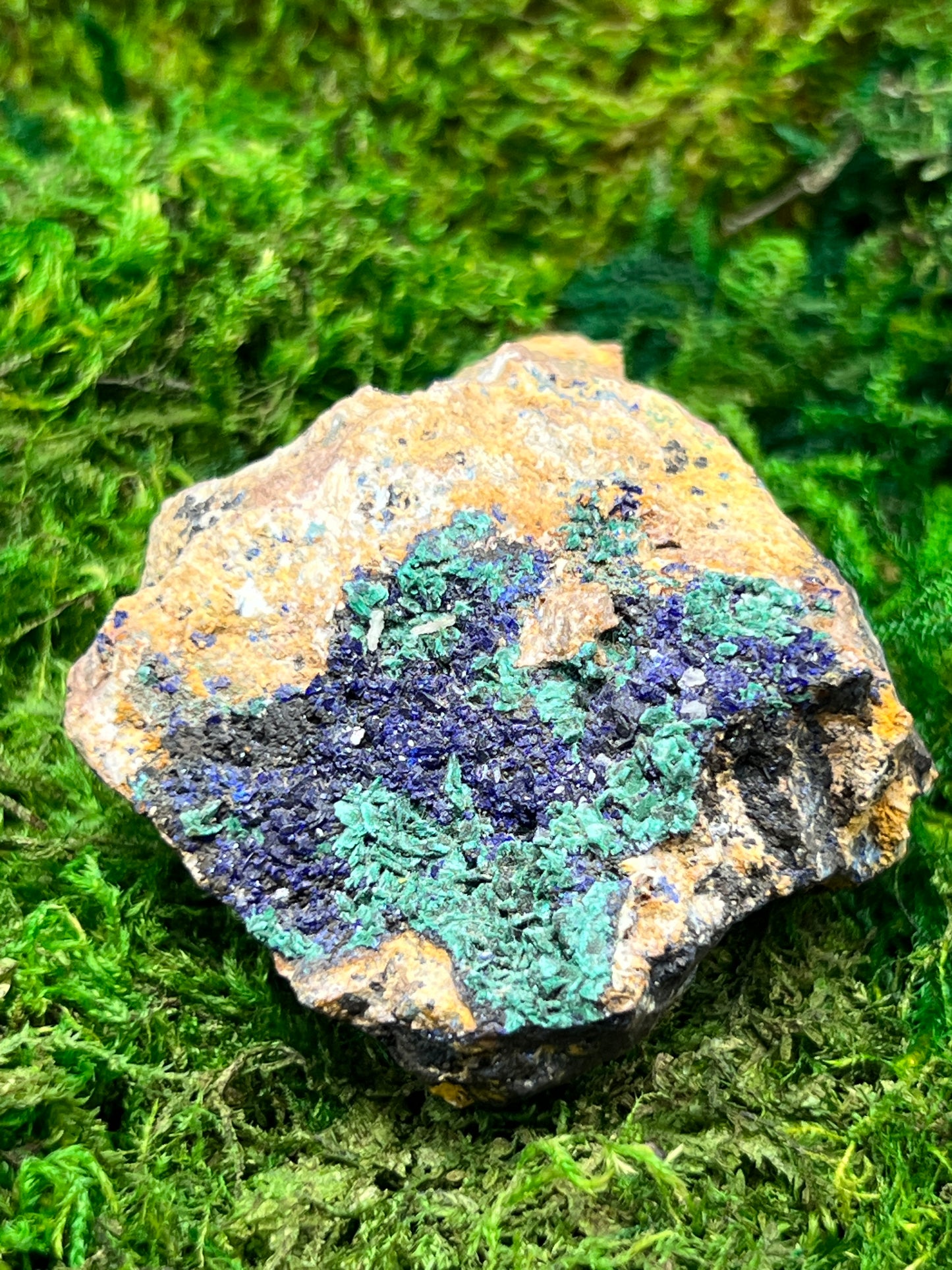 Azurite with Malachite - Mibladen, Morocco