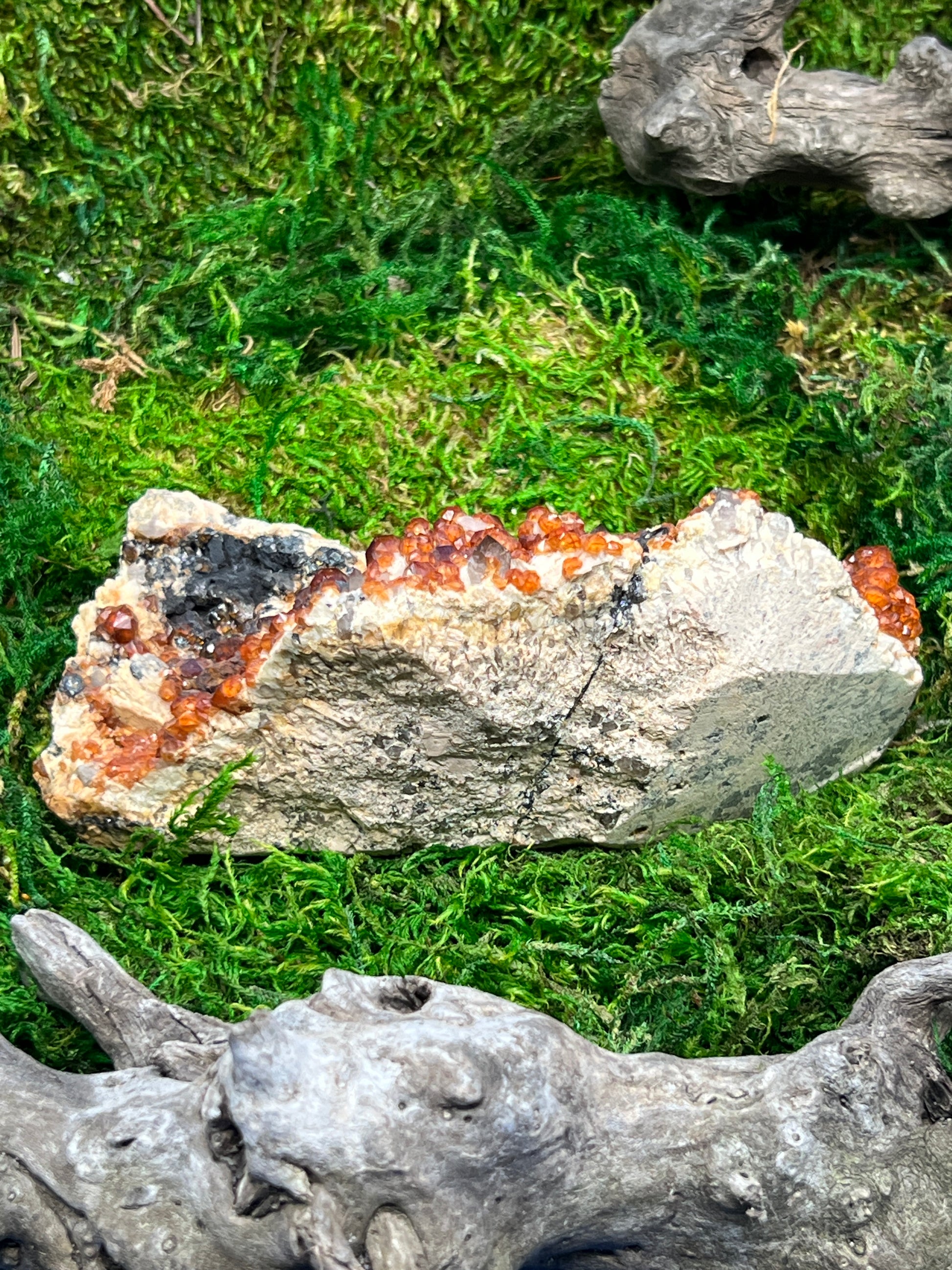 Spessartine Garnets w/ Smoky Quartz on Feldspar