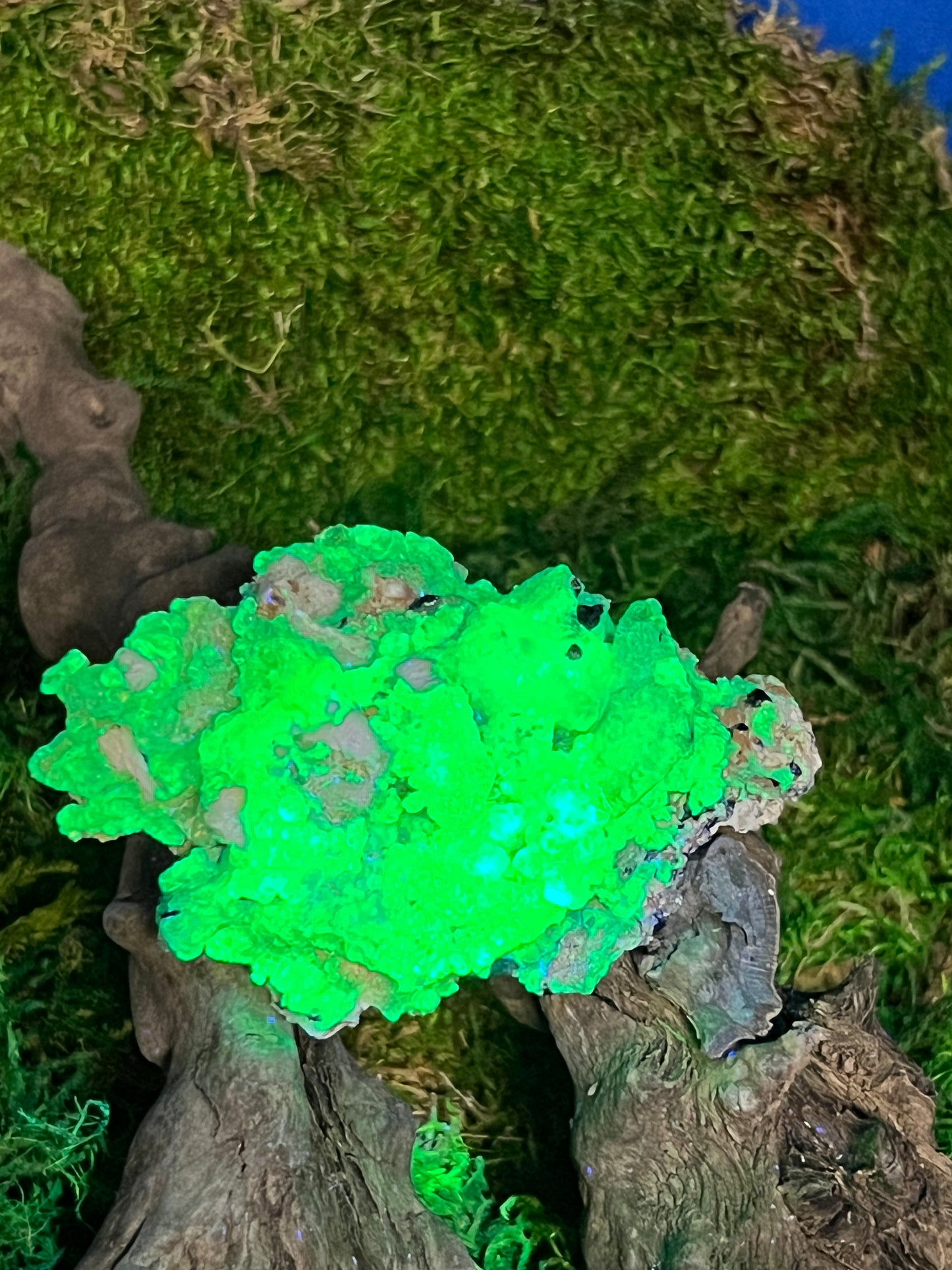 Hyalite Opal with Black Tourmaline