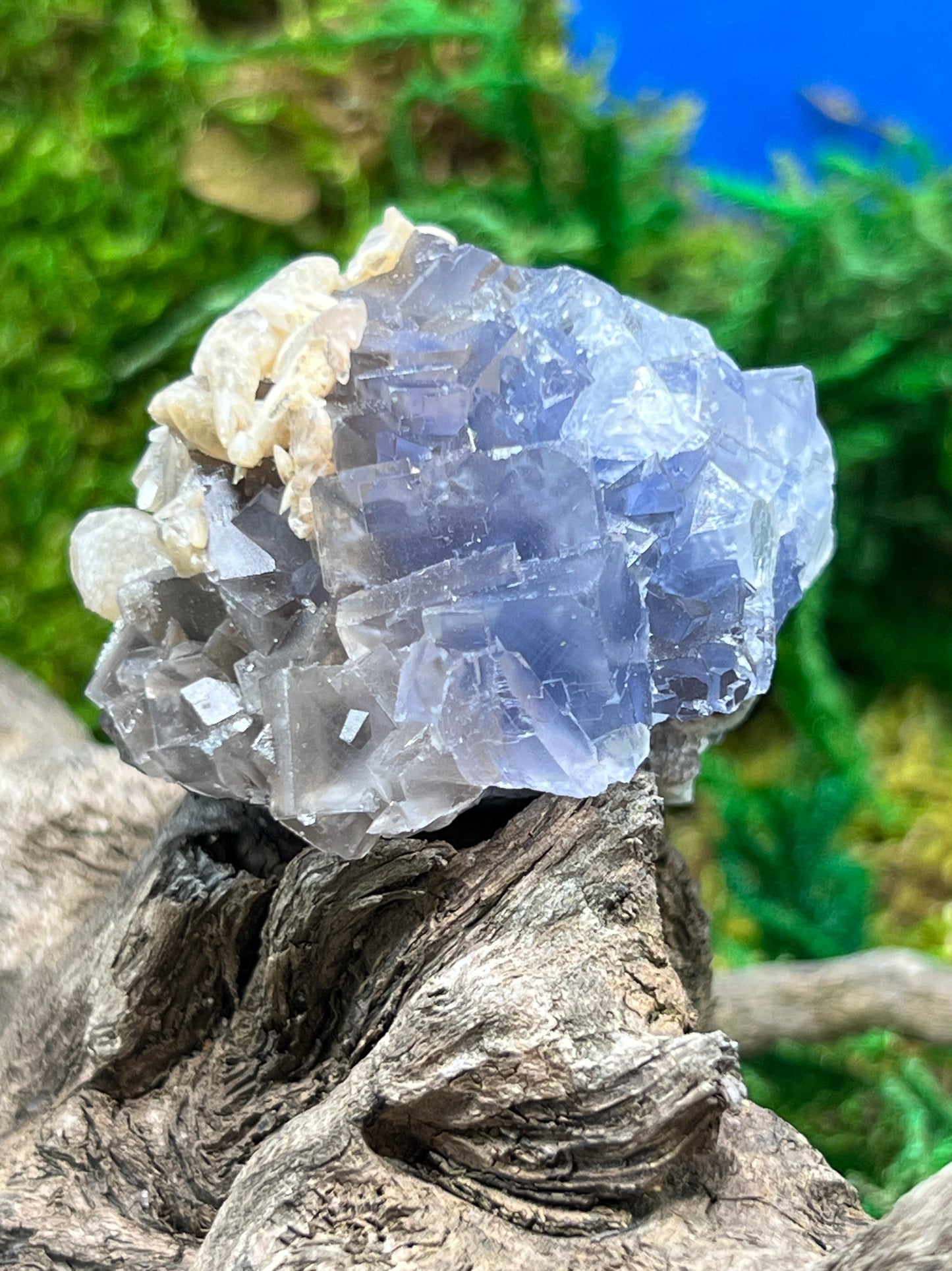 Fluorite with Calcite - Elegant Mineral Specimen