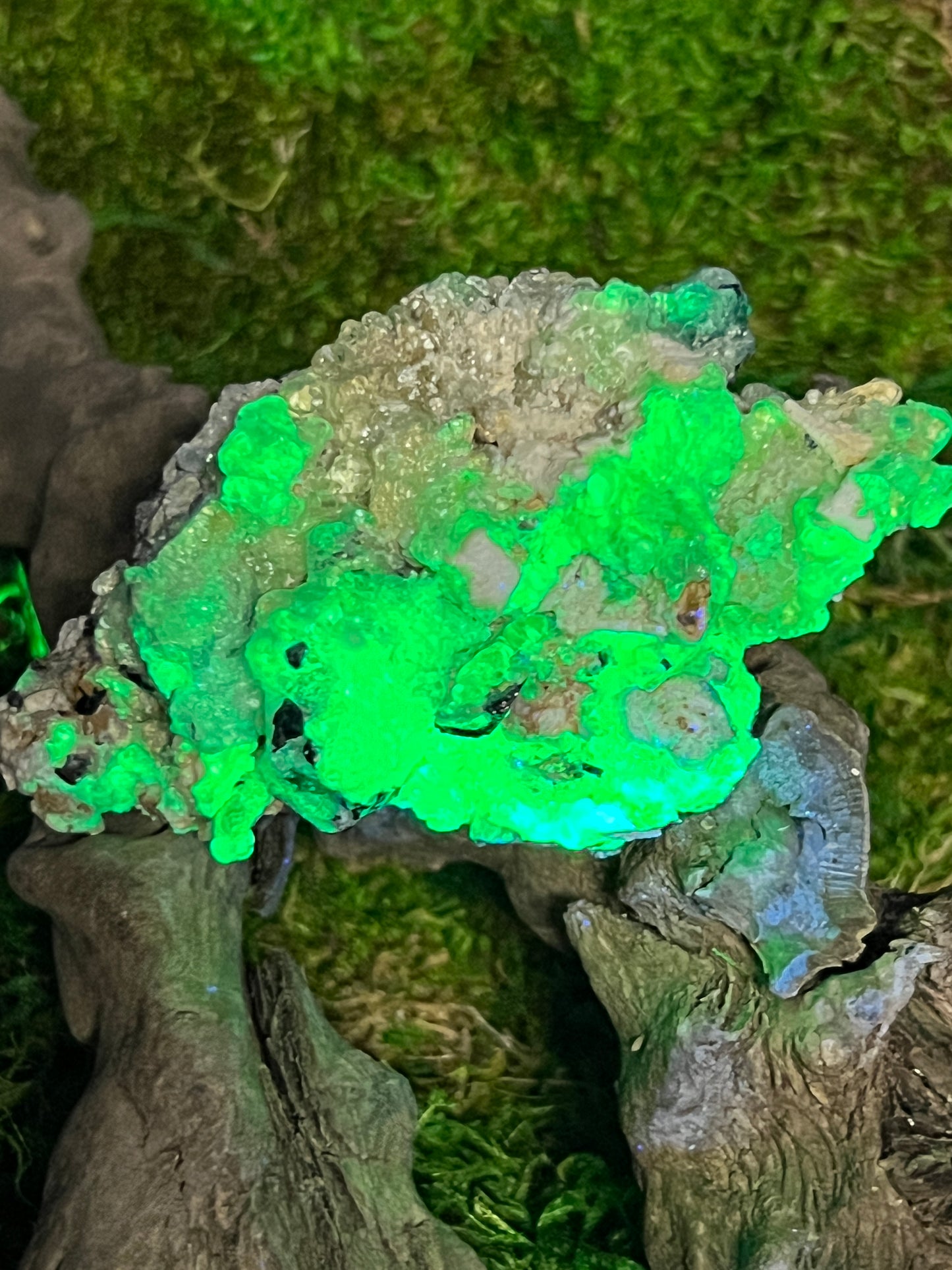 Hyalite Opal with Black Tourmaline