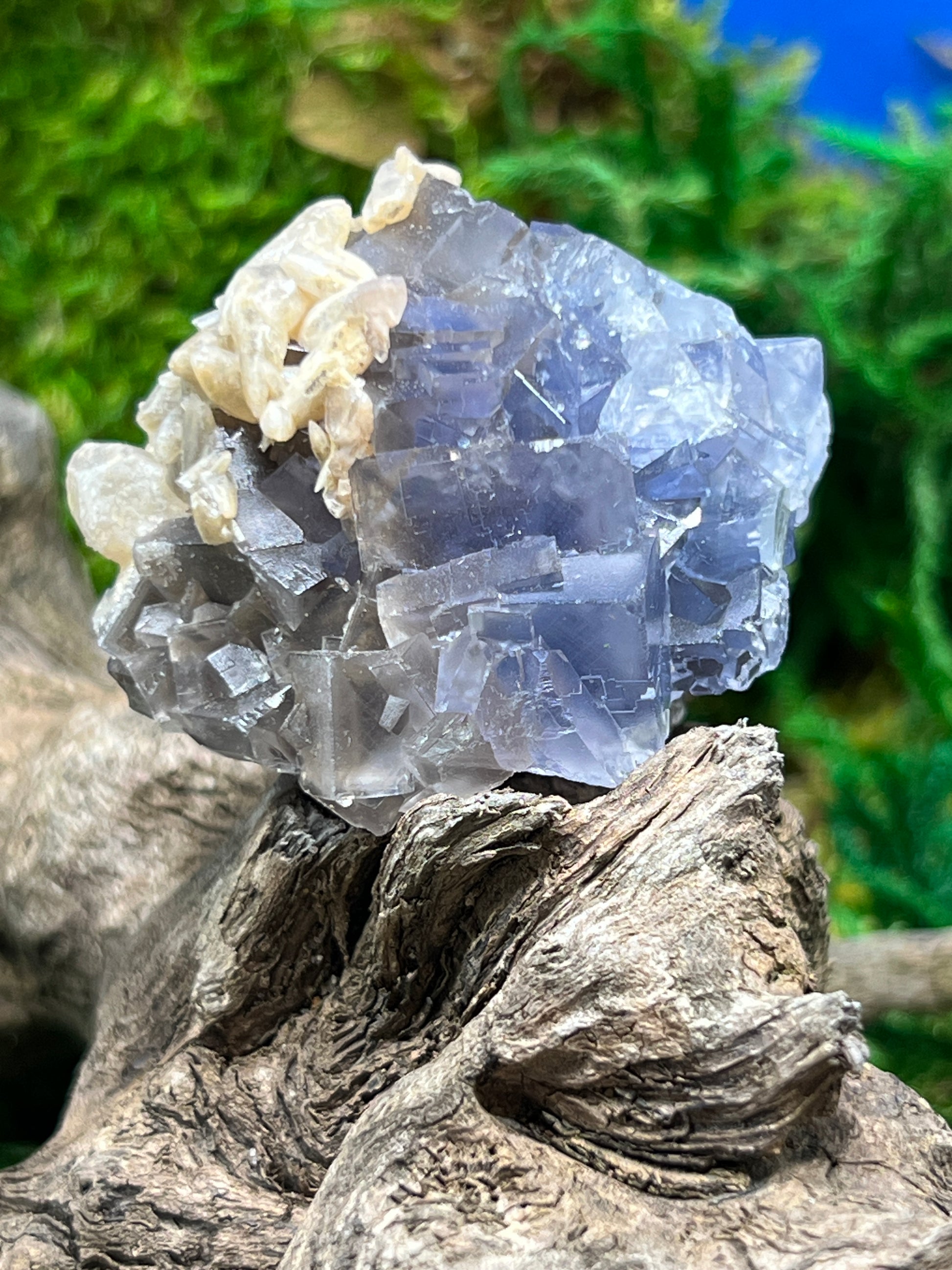 Fluorite with Calcite - Elegant Mineral Specimen