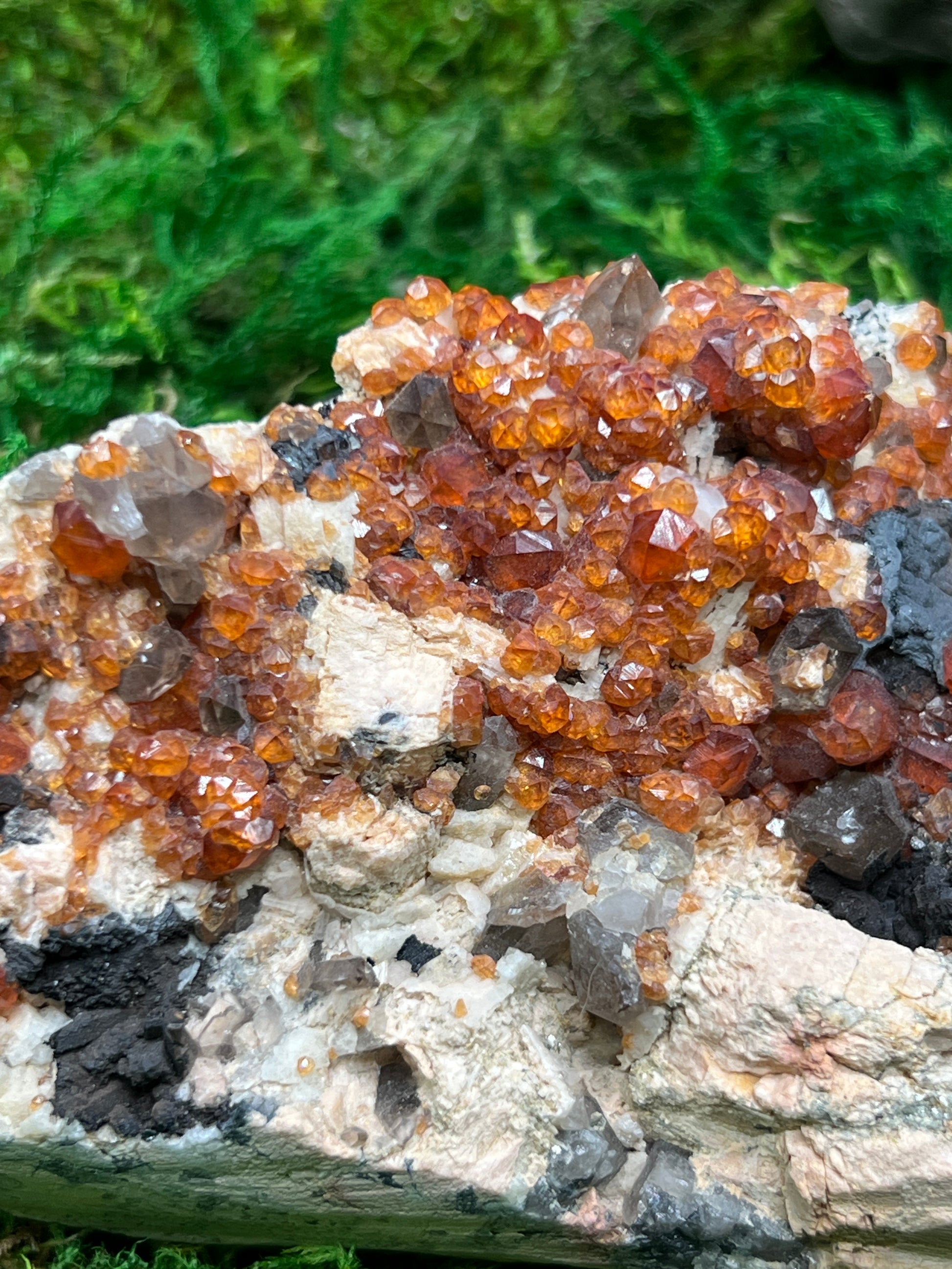 Spessartine Garnets w/ Smoky Quartz on Feldspar