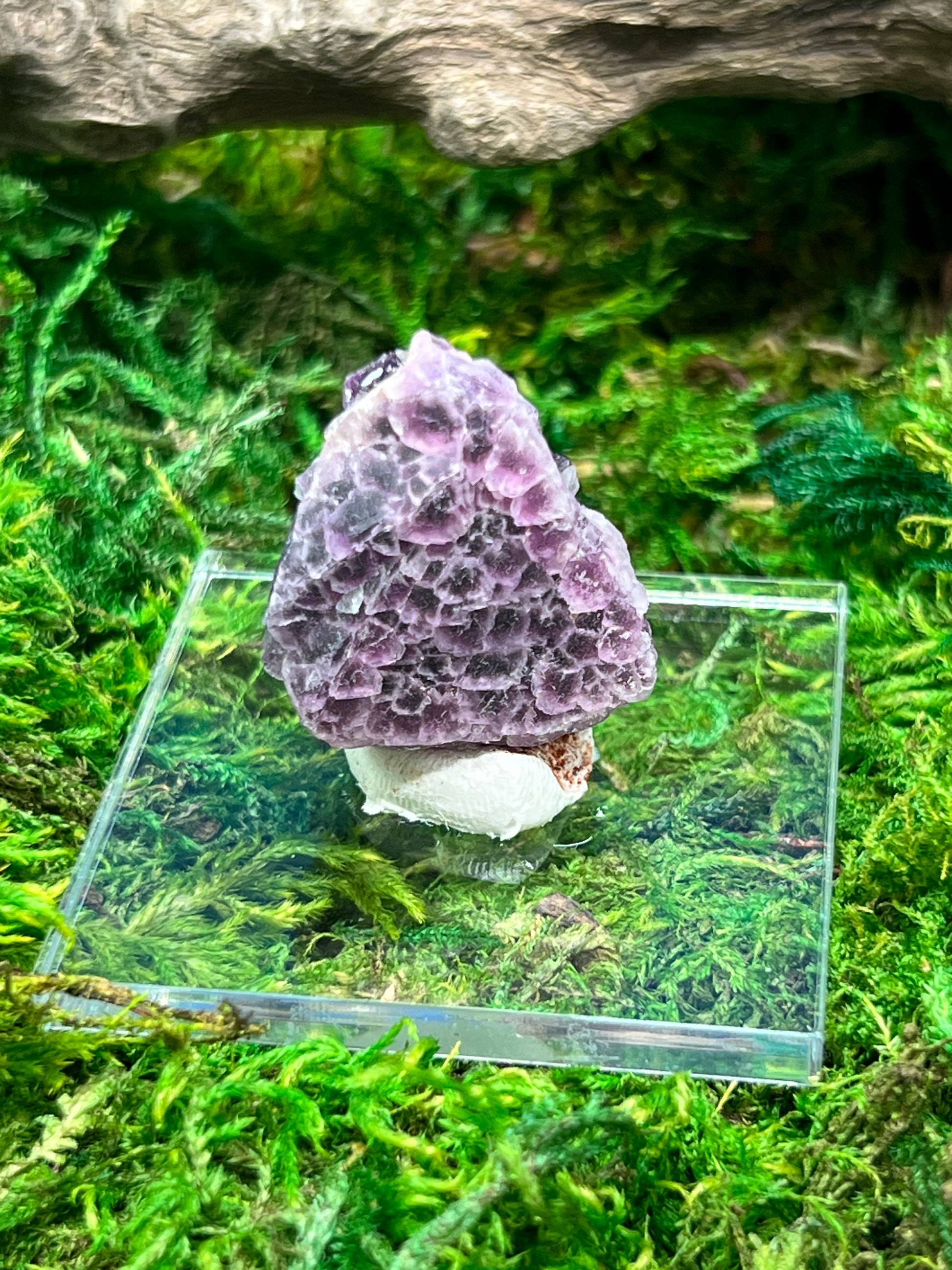 Natural Fluorite Crystal from Grant County, New Mexico