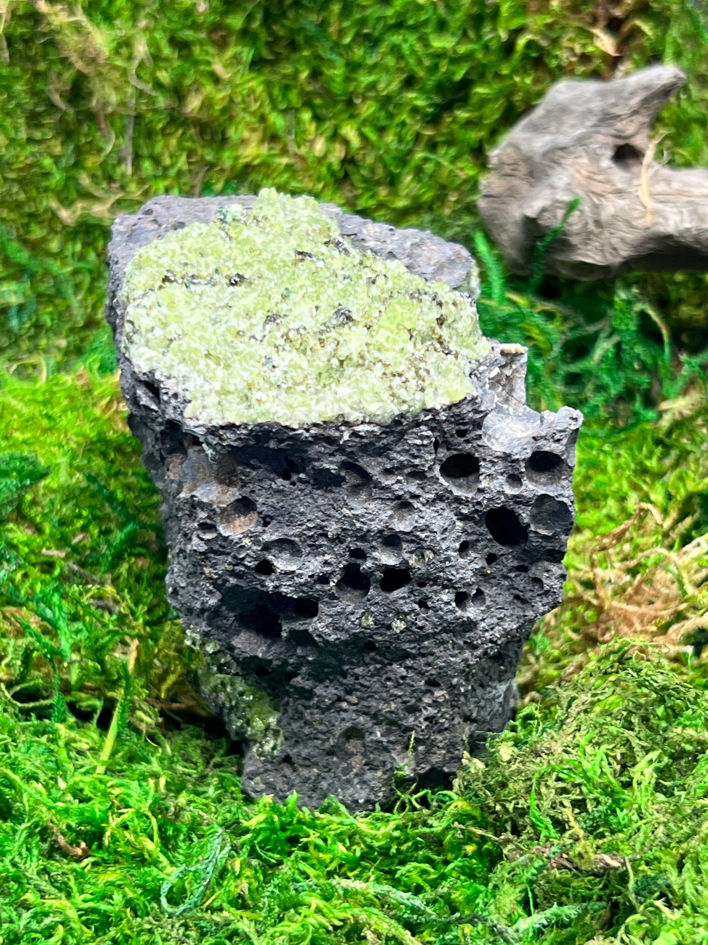 Peridot in Basalt