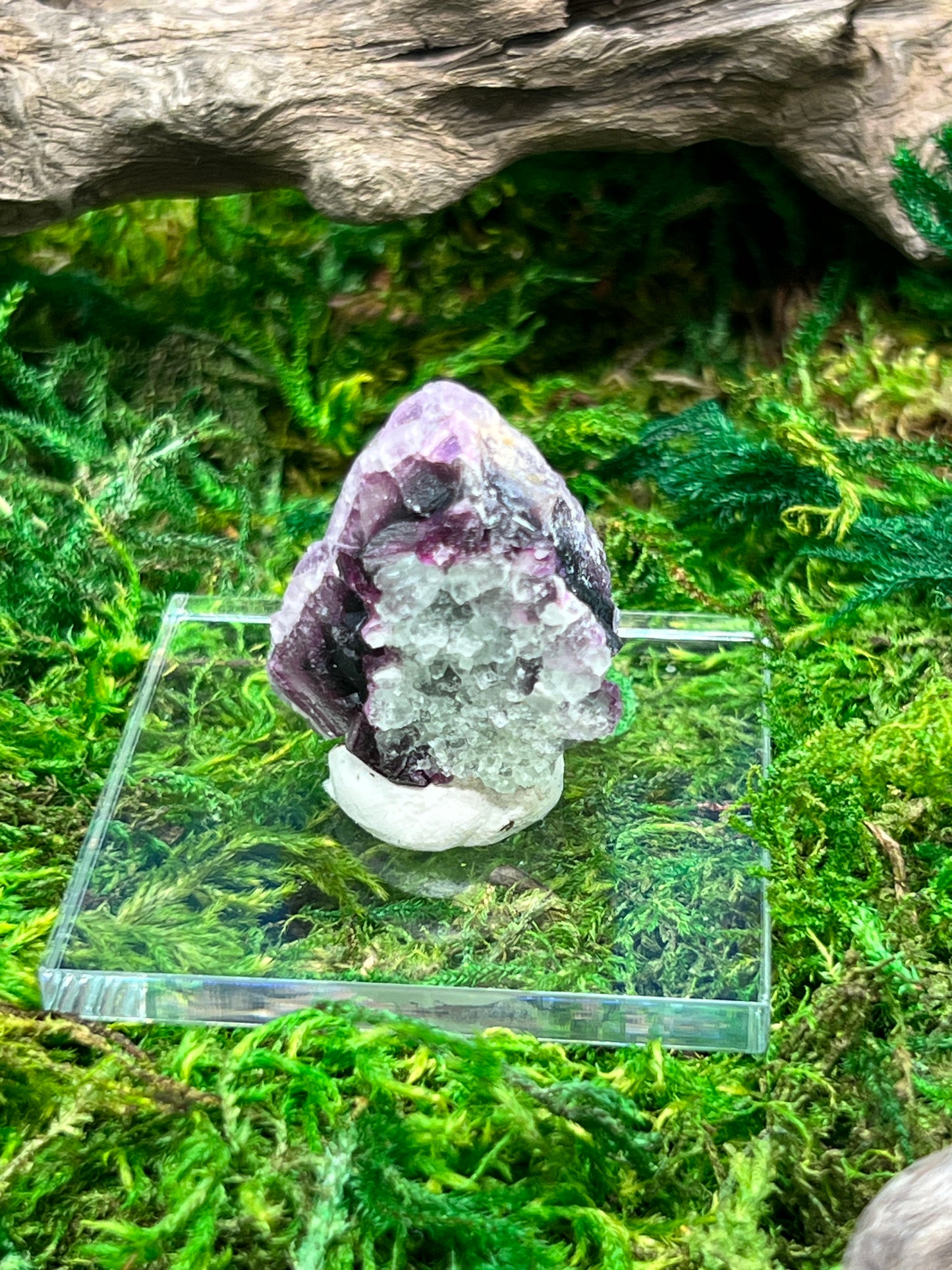 Natural Fluorite Crystal from Grant County, New Mexico