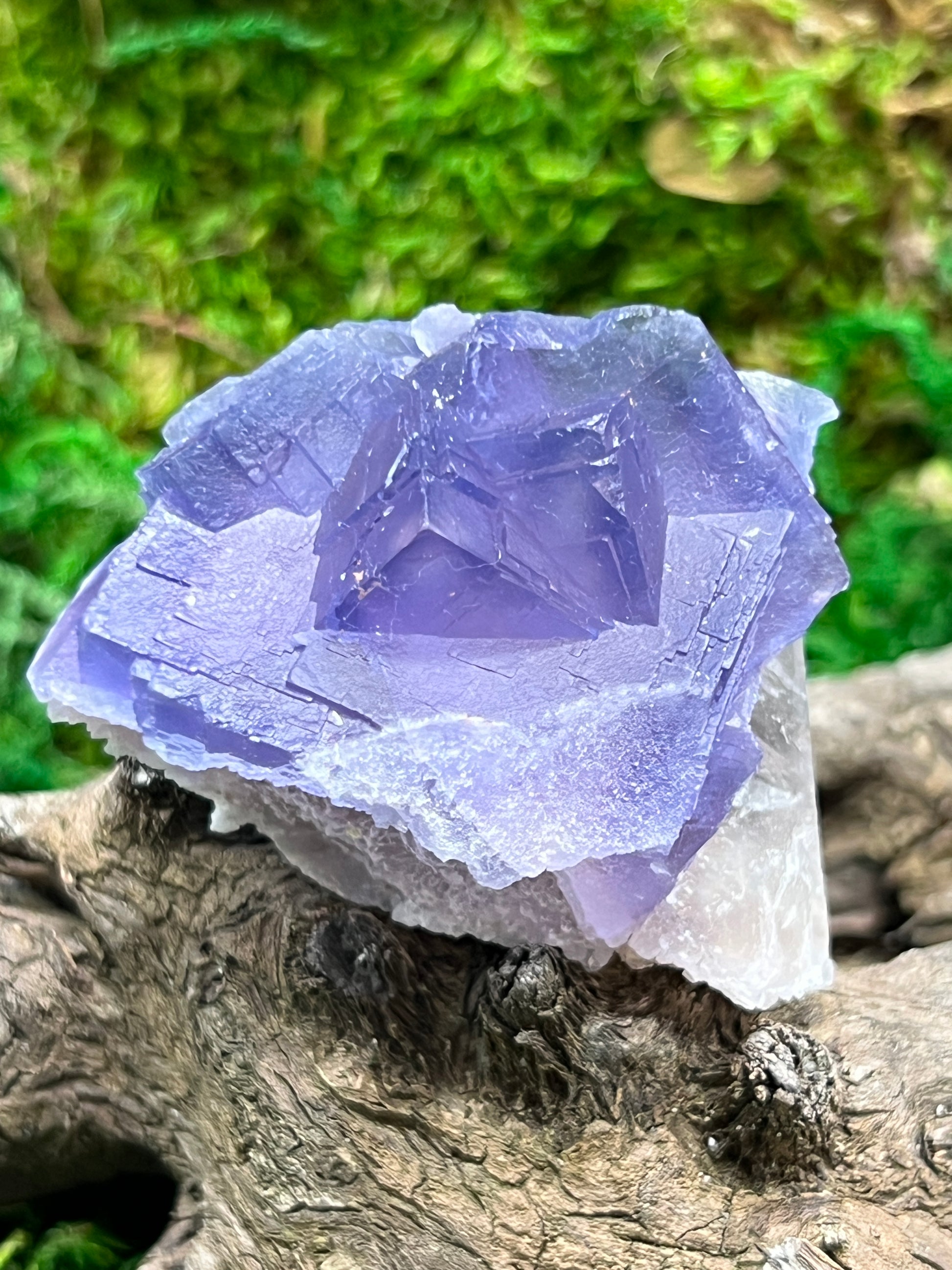 Natural Fluorite Crystal from Baluchistan
