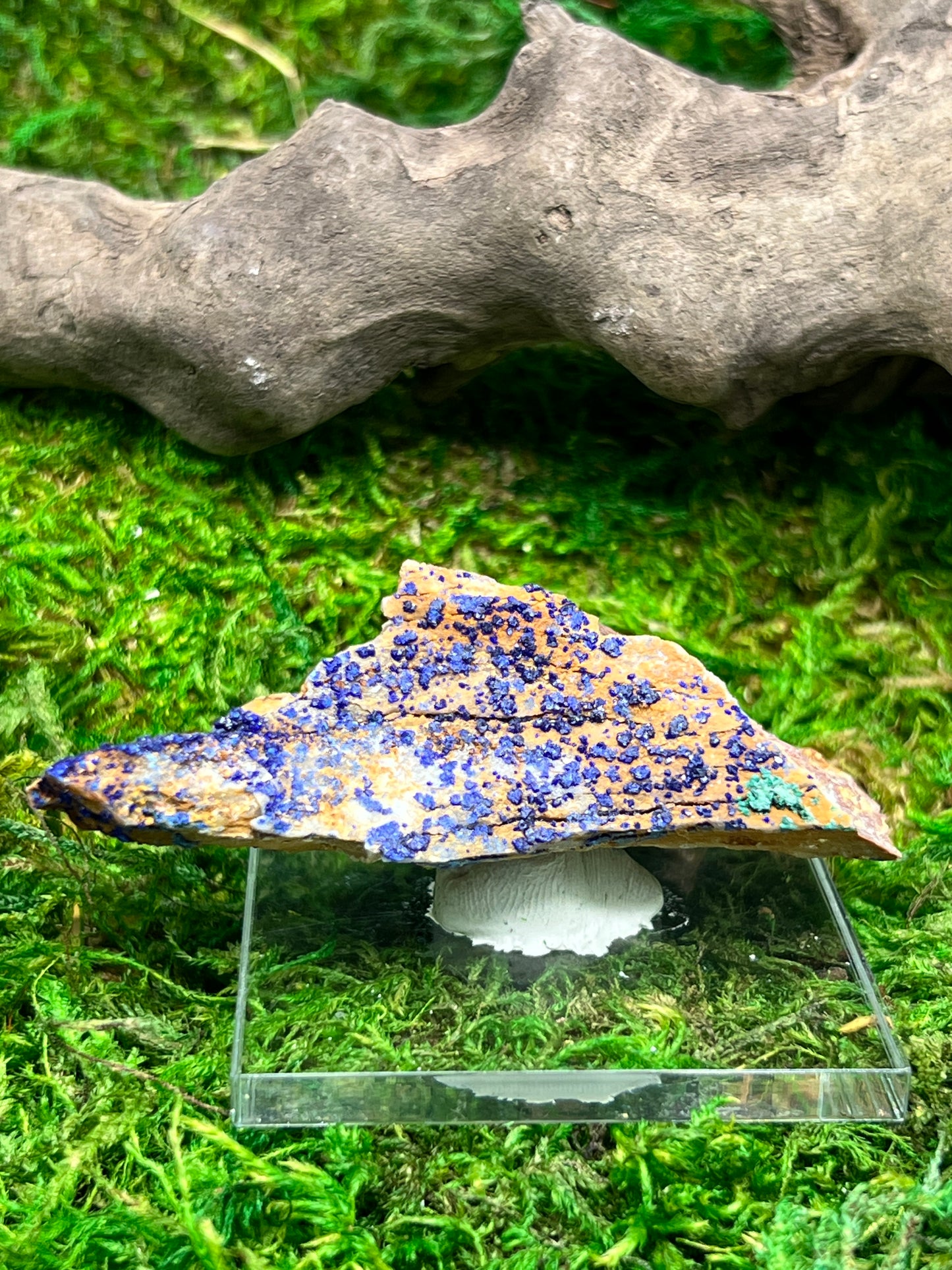 Azurite with Malachite - Ahouli Mines, Morocco