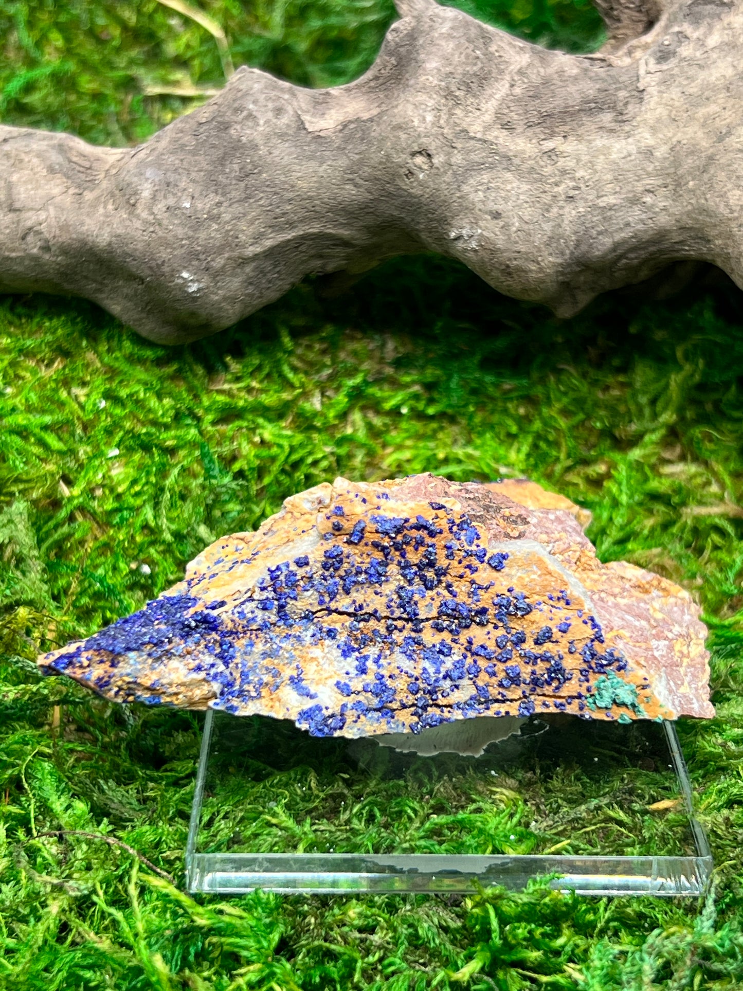 Azurite with Malachite - Ahouli Mines, Morocco
