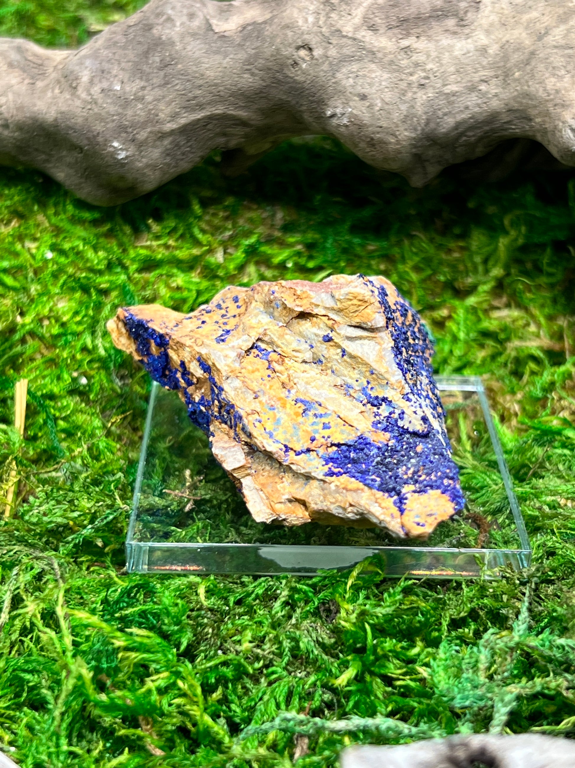 Azurite with Malachite - Ahouli Mines, Morocco