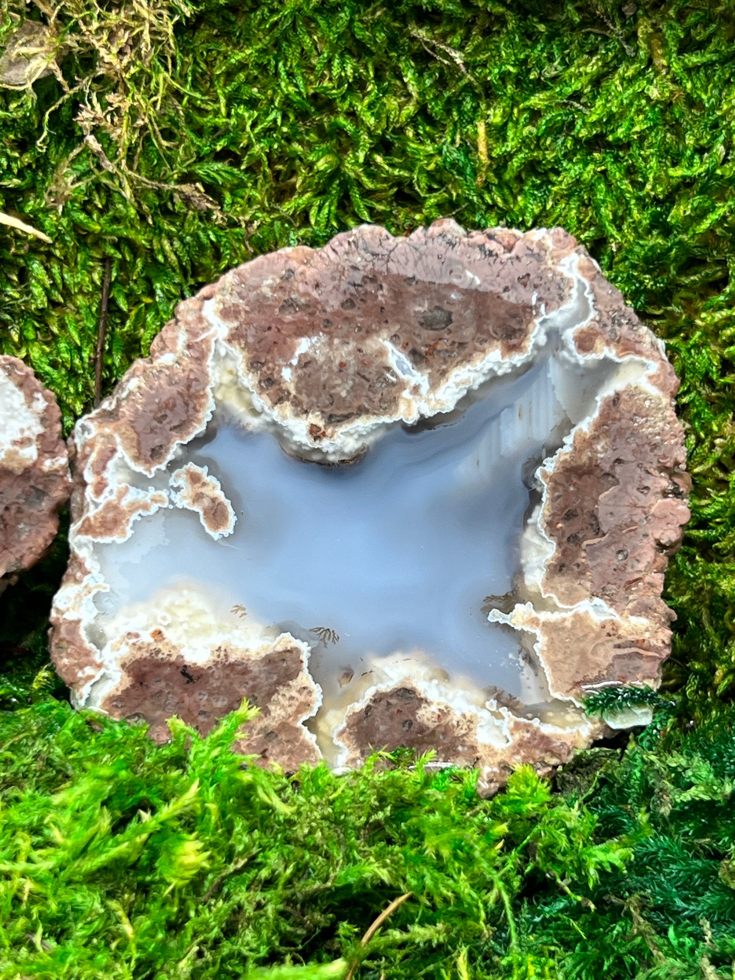 Oregon Thunderegg