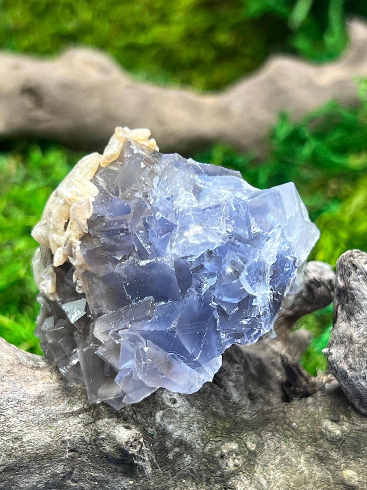 Fluorite with Calcite - Elegant Mineral Specimen