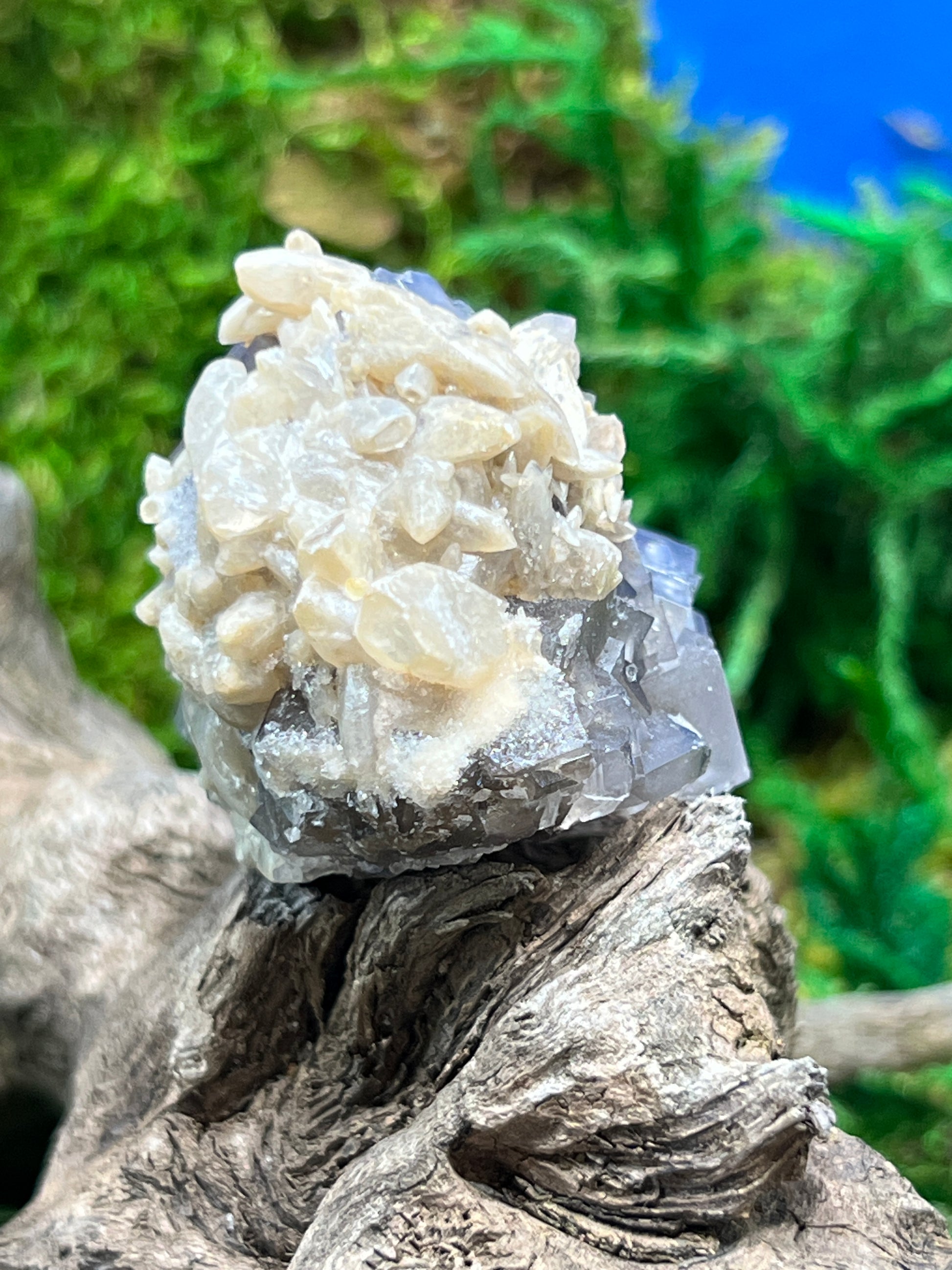 Fluorite with Calcite - Elegant Mineral Specimen