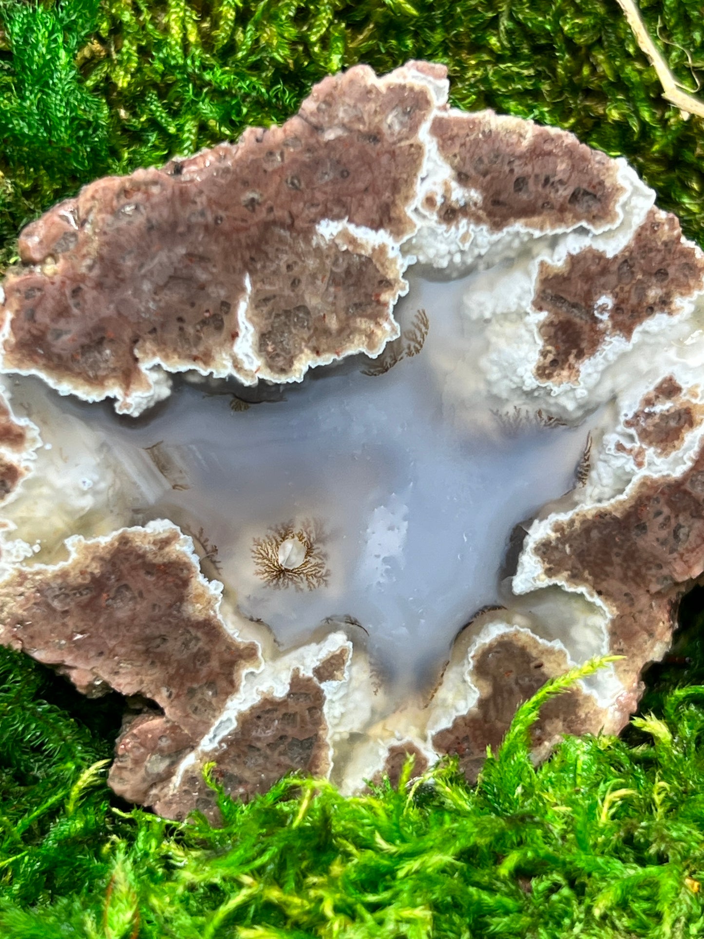 Oregon Thunderegg