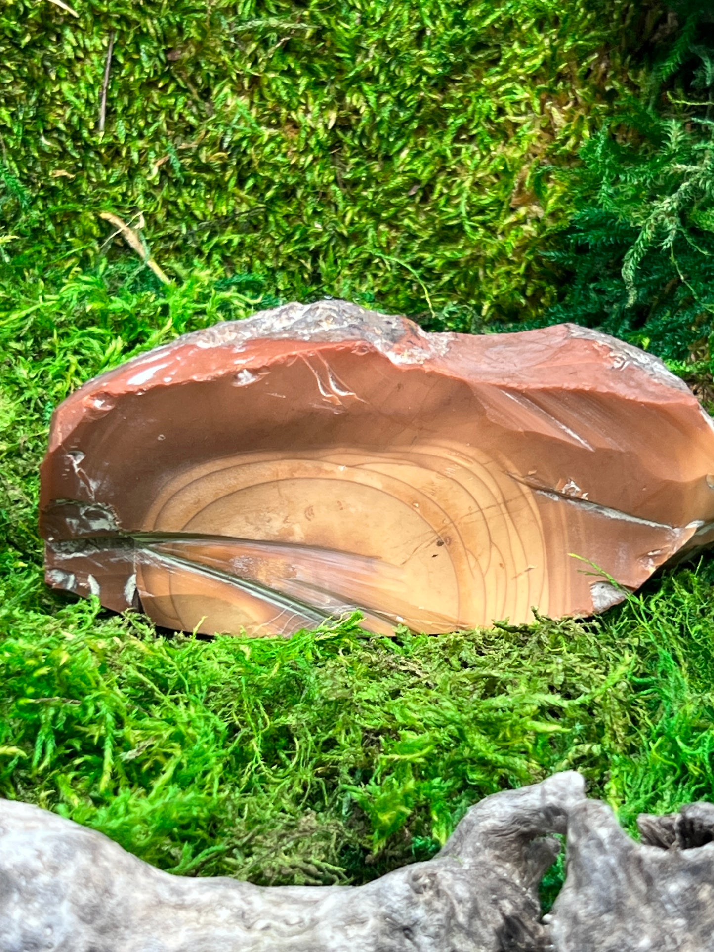 Bruneau Jasper Stone - Unique Natural Gemstone