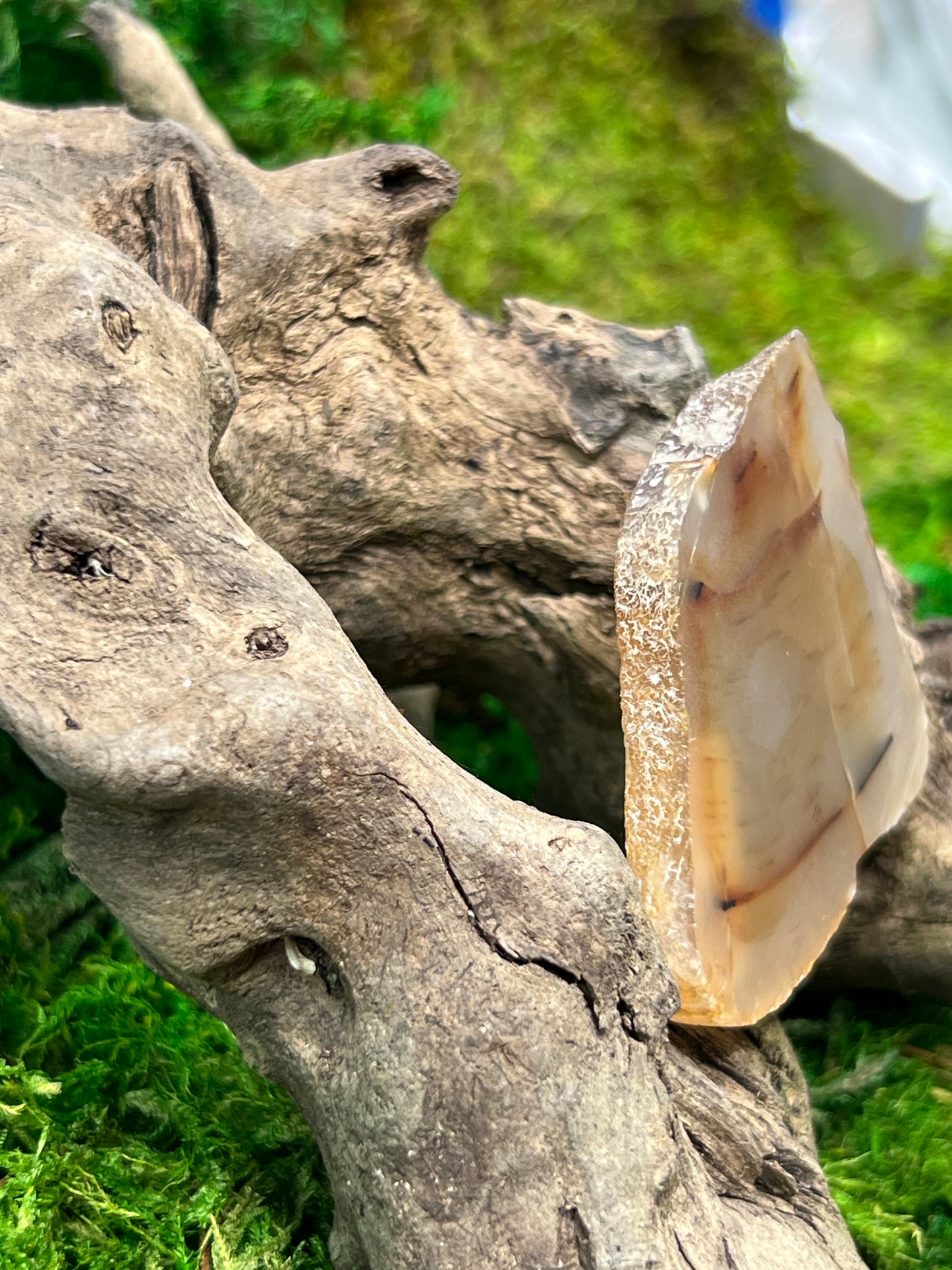 Agate Slab for Cutting Cabochons