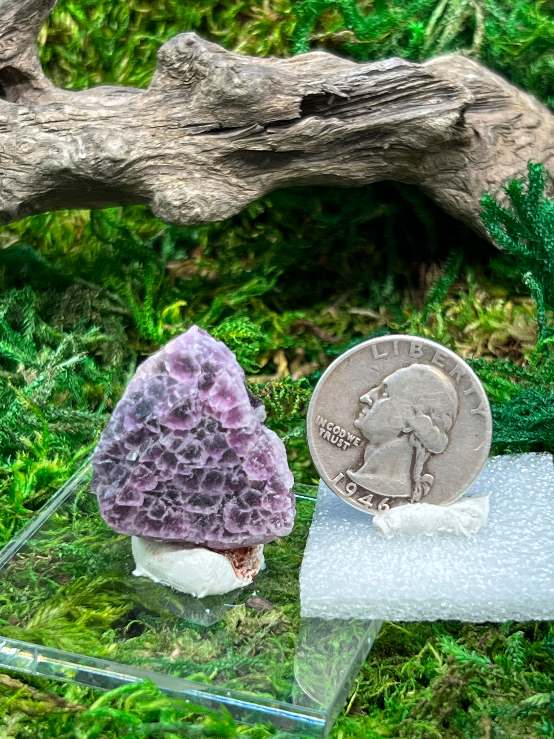 Natural Fluorite Crystal from Grant County, New Mexico