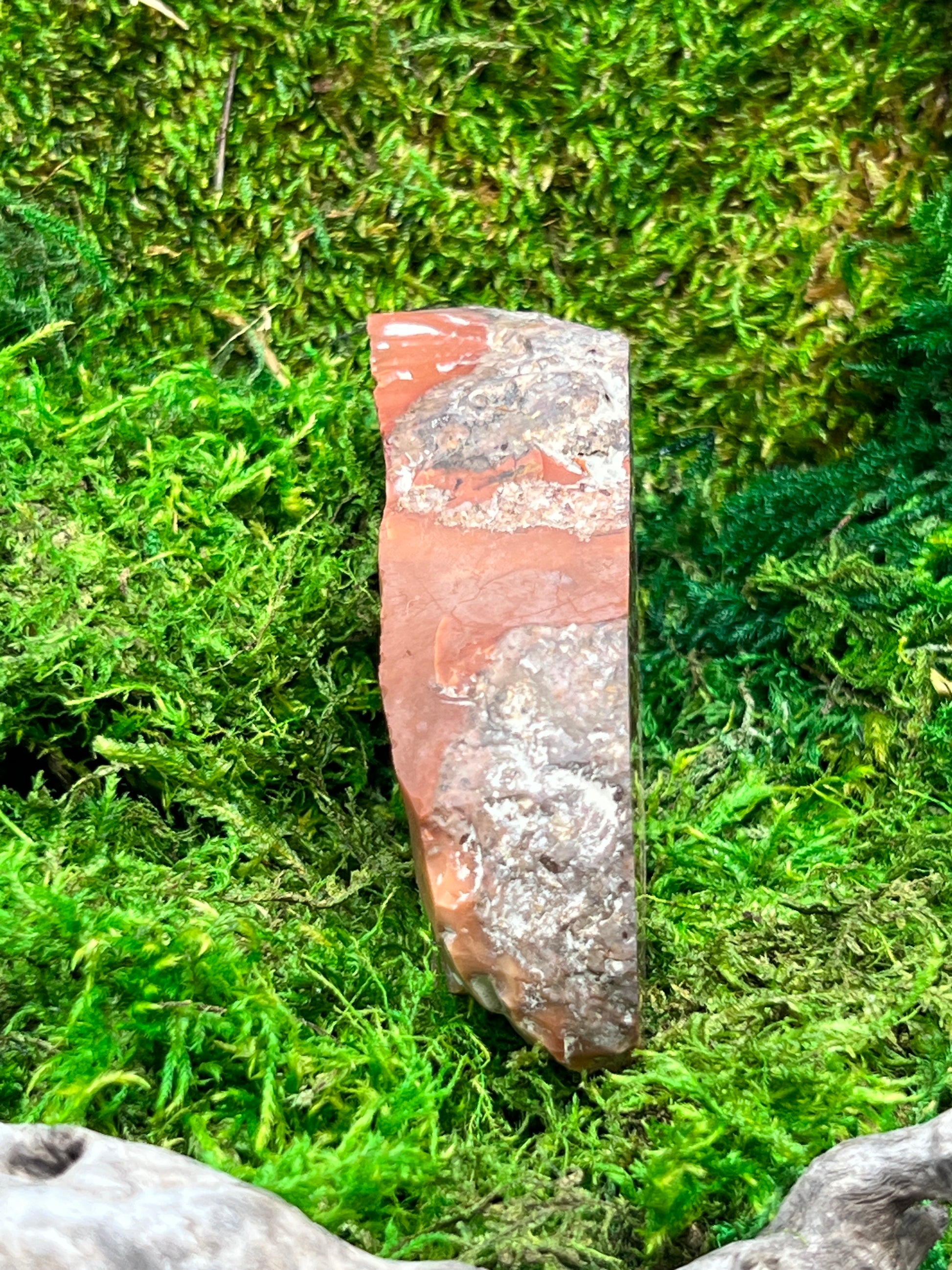 Bruneau Jasper Stone - Unique Natural Gemstone