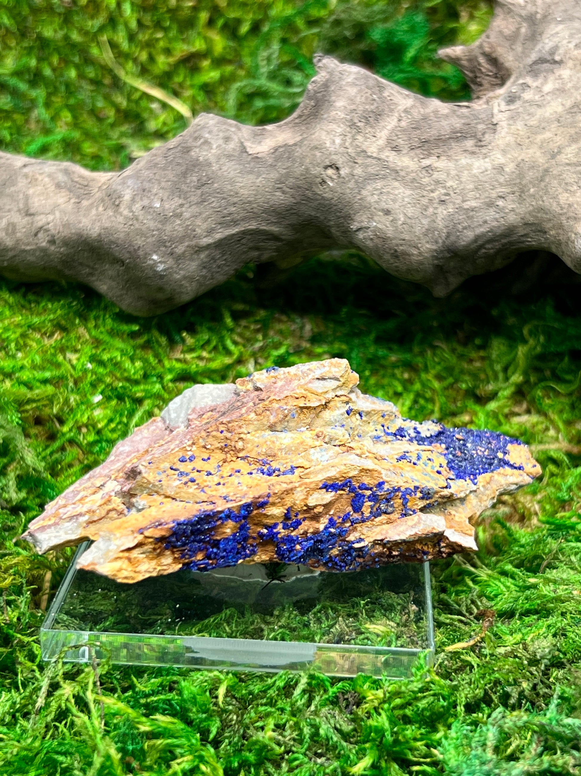 Azurite with Malachite - Ahouli Mines, Morocco