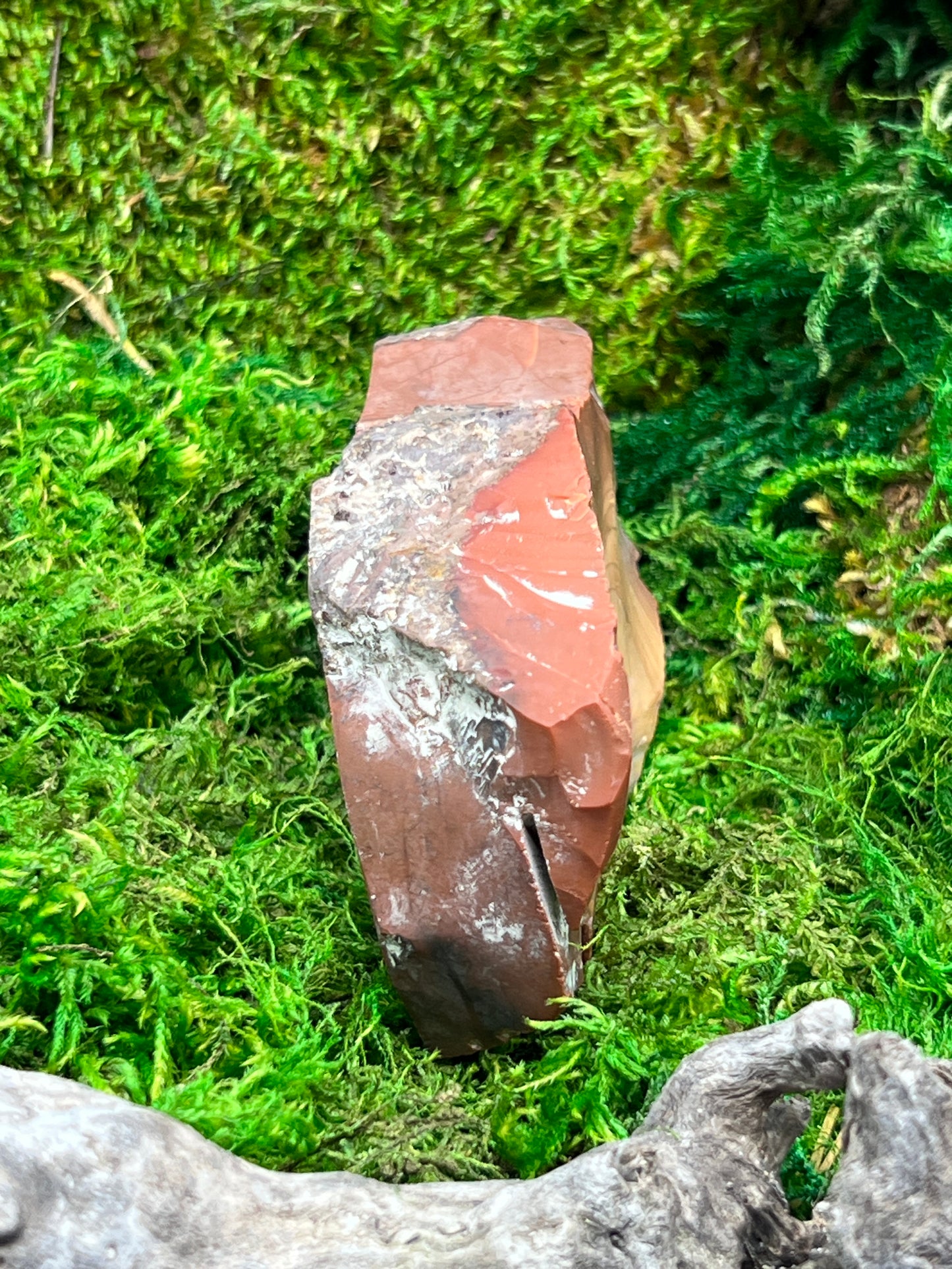 Bruneau Jasper Stone - Unique Natural Gemstone