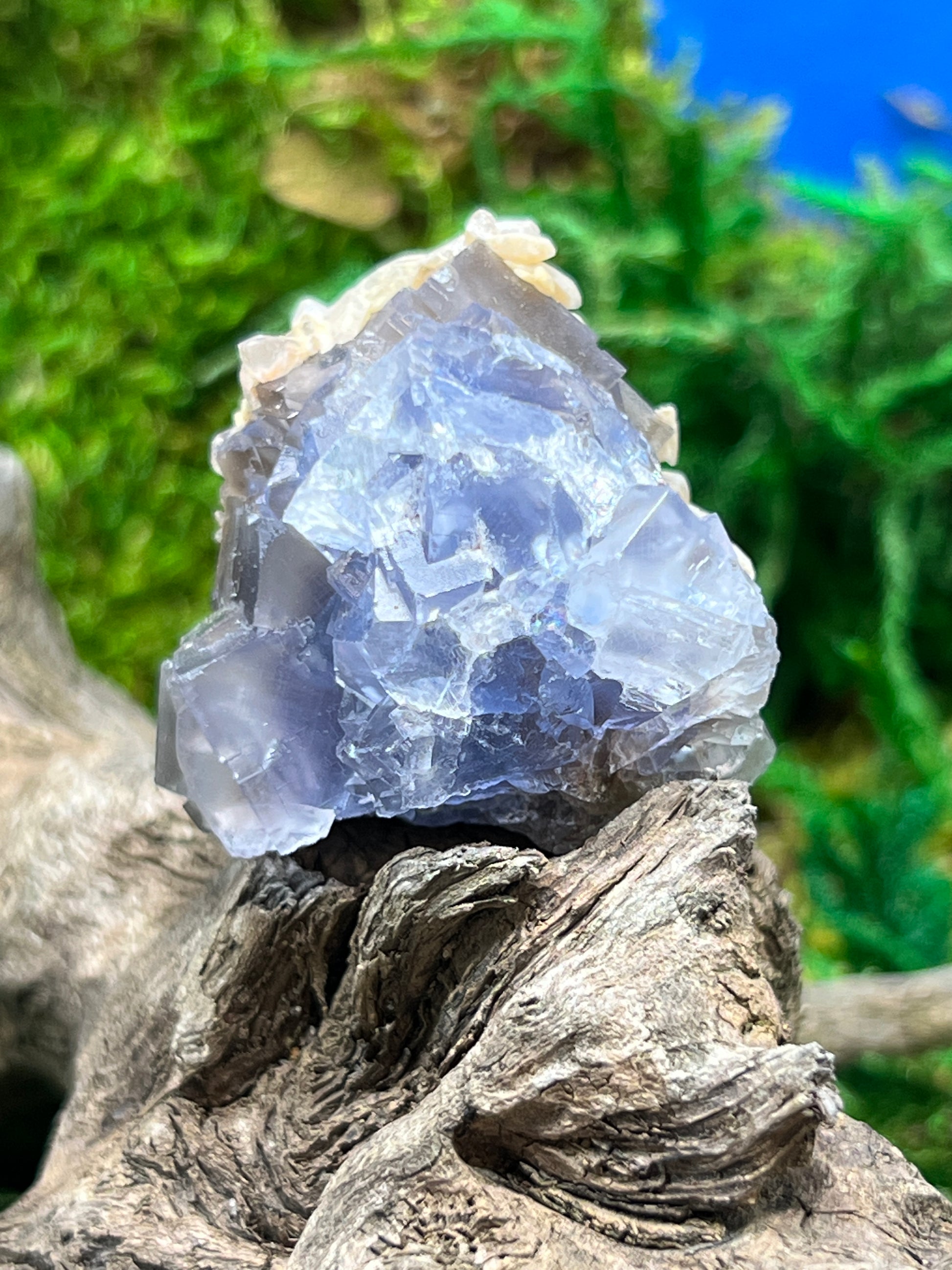 Fluorite with Calcite - Elegant Mineral Specimen