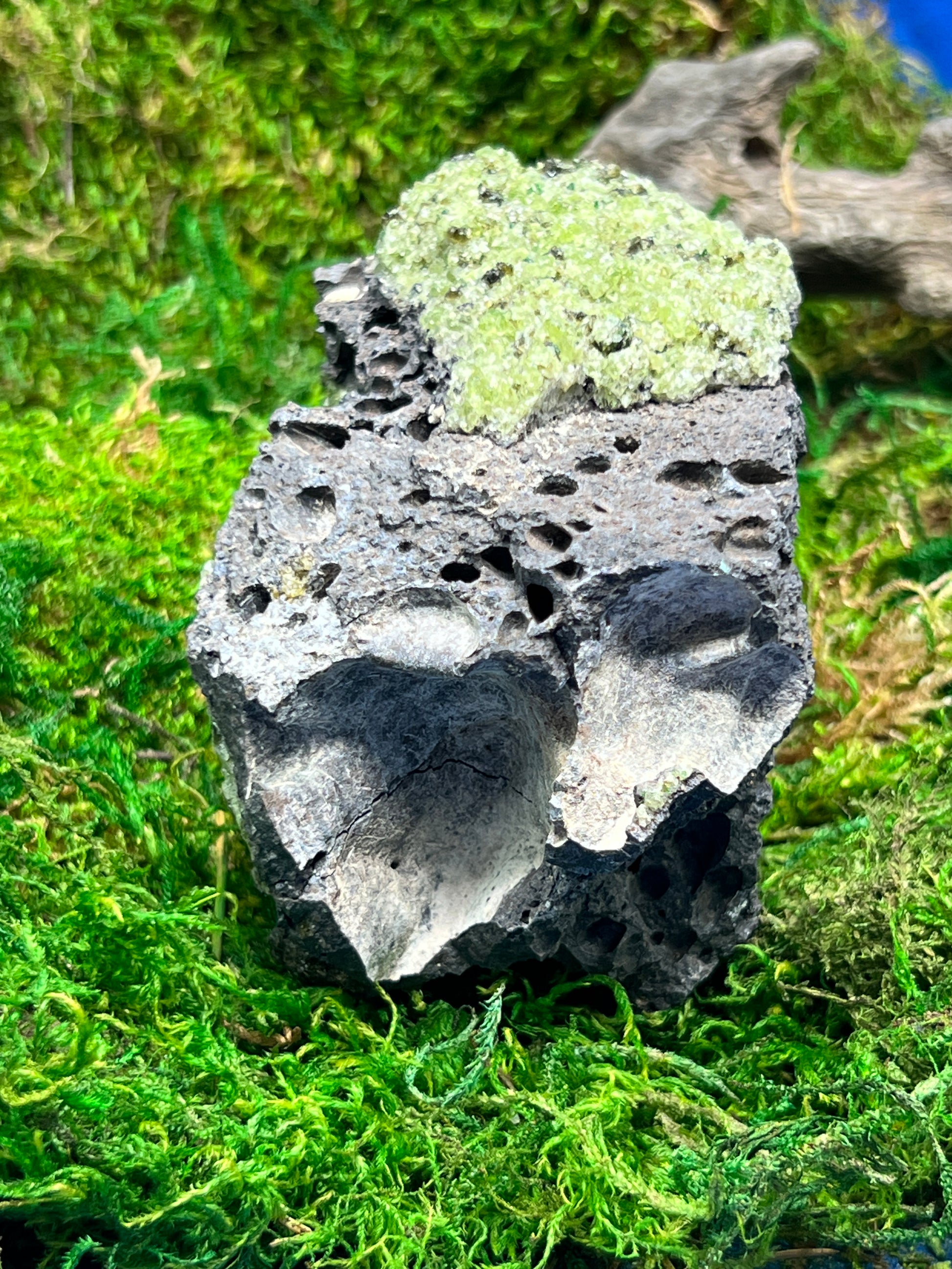 Peridot in Basalt