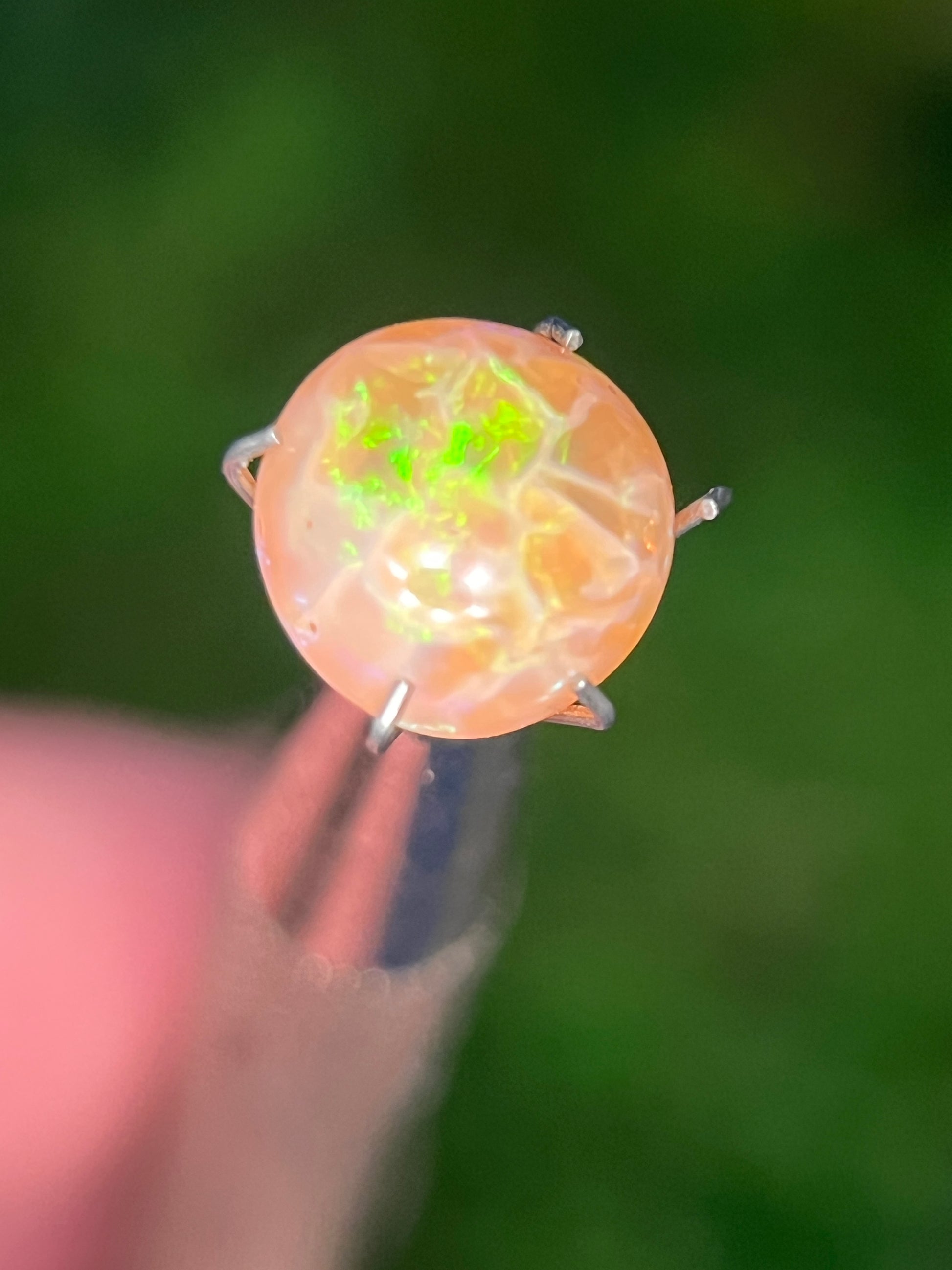 Mexican Opal