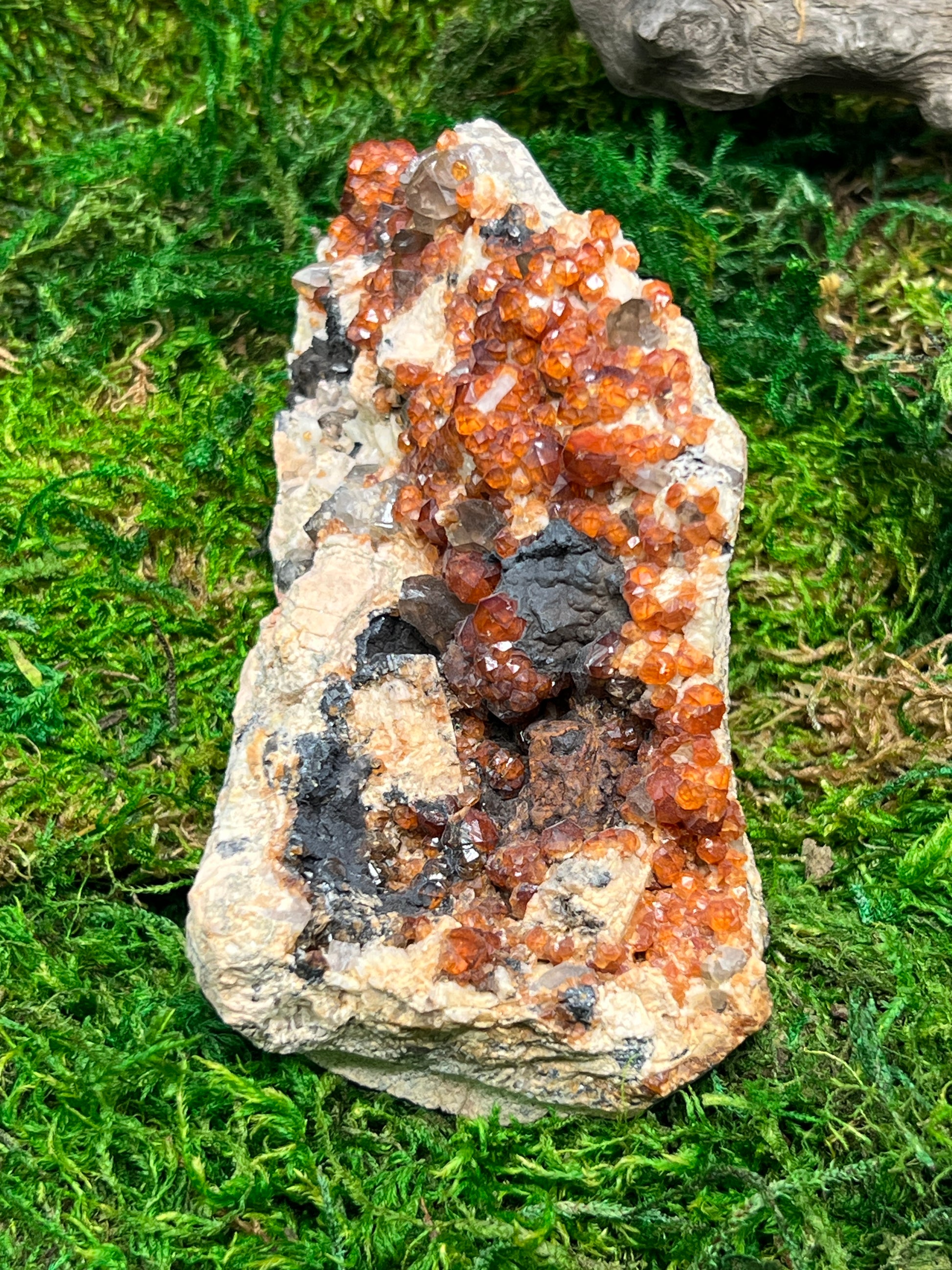 Spessartine Garnets w/ Smoky Quartz on Feldspar