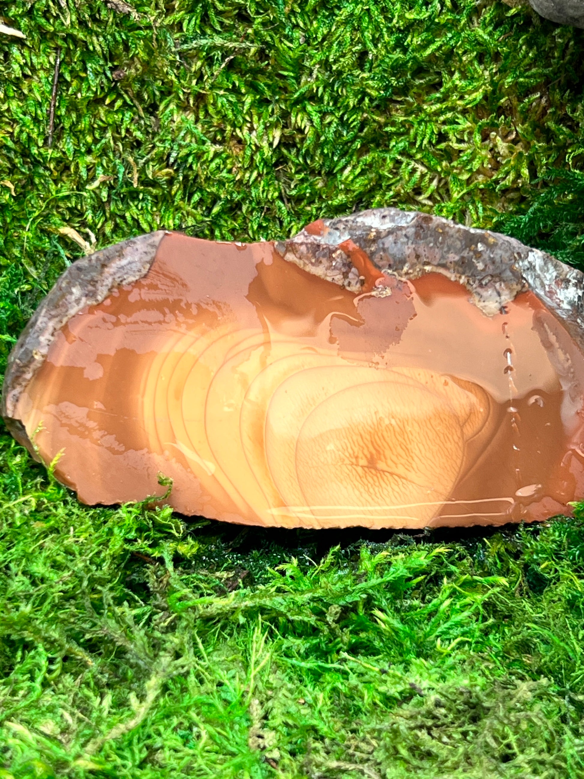 Bruneau Jasper Stone - Unique Natural Gemstone