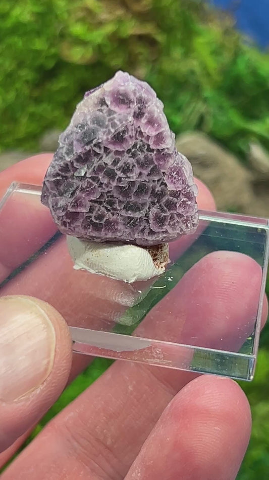 Natural Fluorite Crystal from Grant County, New Mexico