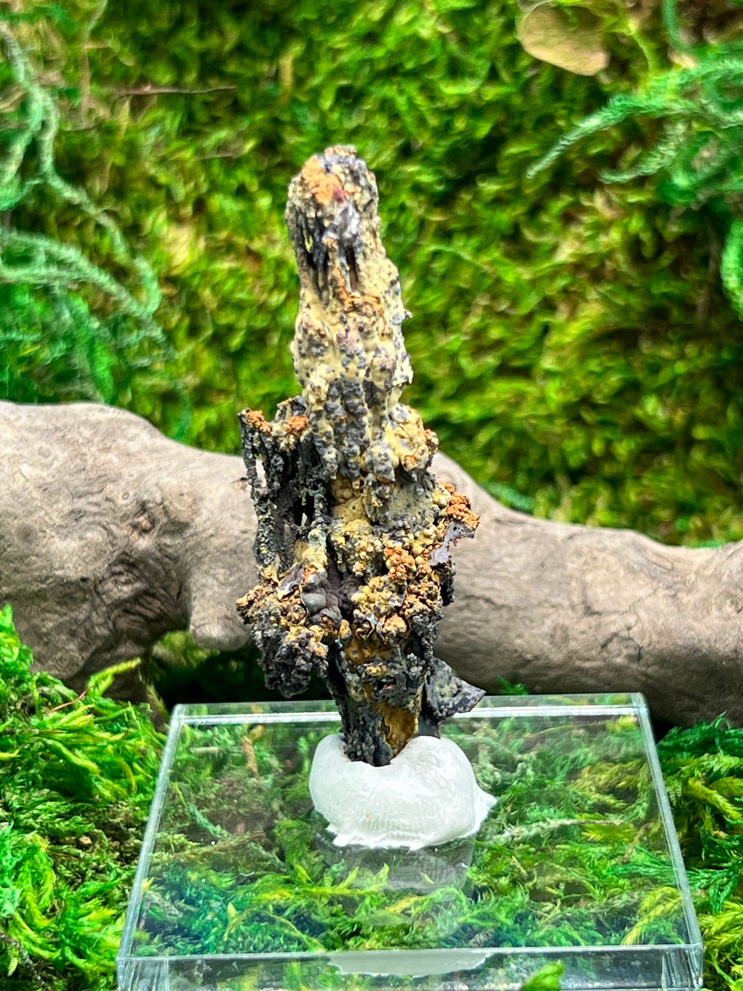 Natural Goethite from Santa Eulalia Mining District