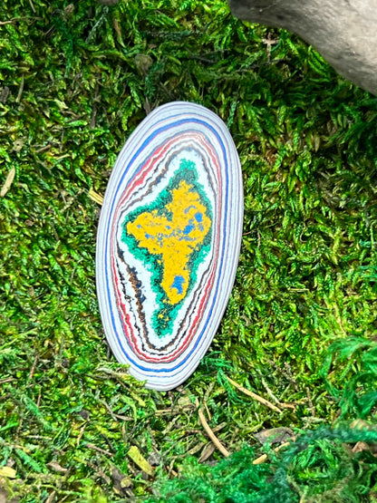 Kenworth Fordite