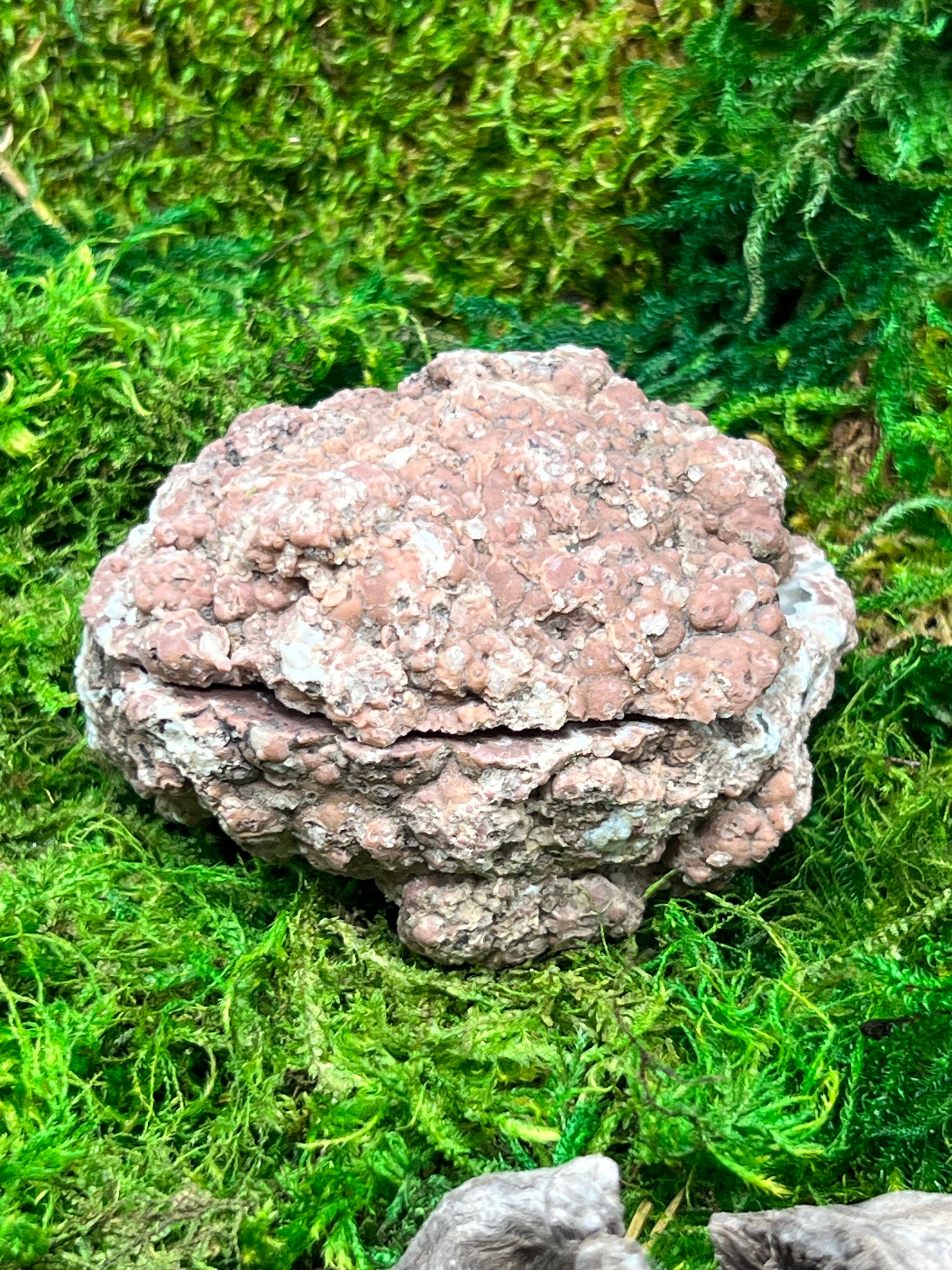 Oregon Thunderegg