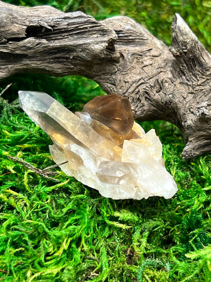 Smoky Citrine Crystal from Sally Anne Pegmatite