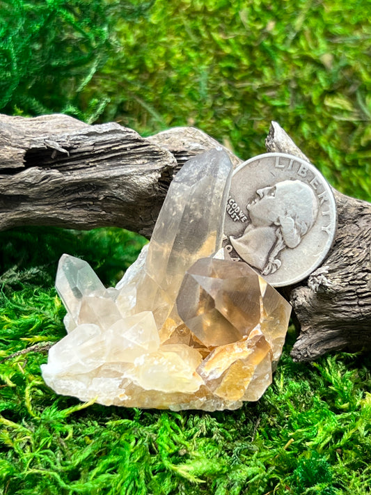 Smoky Citrine Crystal from Sally Anne Pegmatite