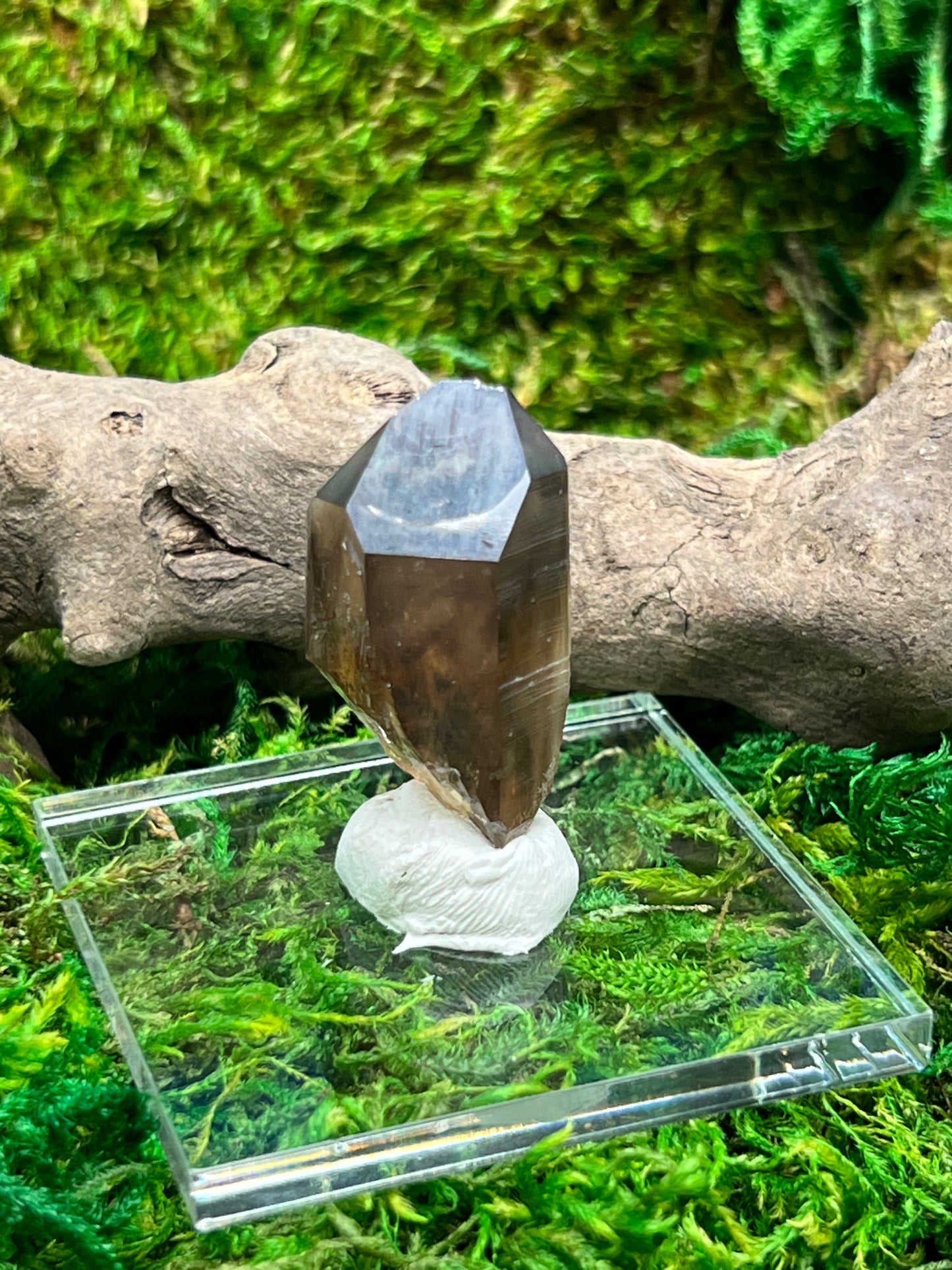 Smoky Quartz Crystal from Sally Anne Pegmatite