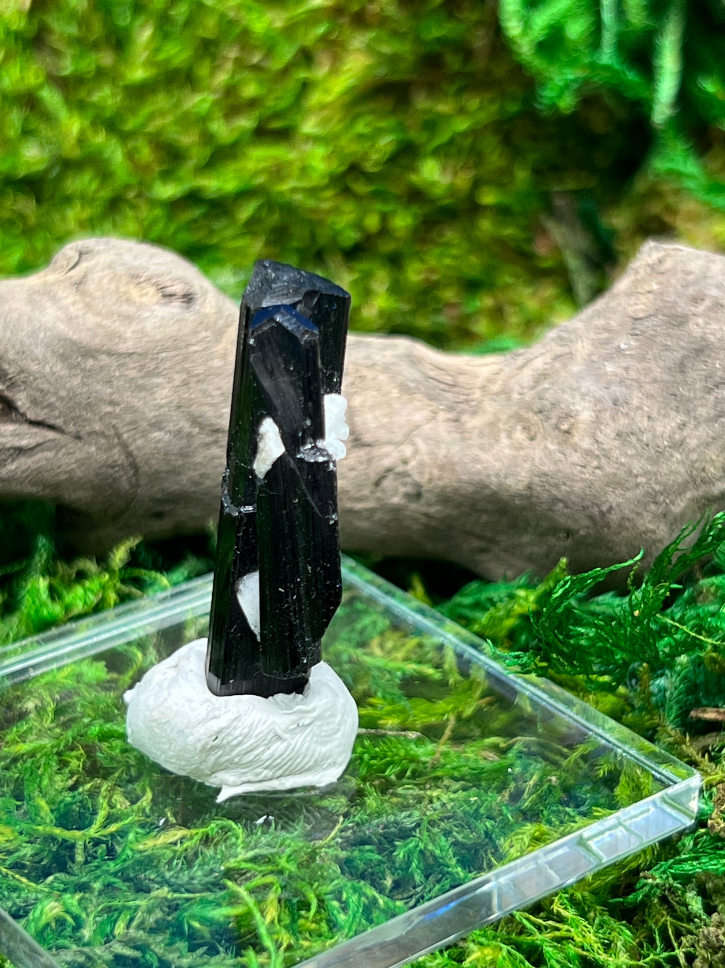 Schorl (Black Tourmaline) from Skardu, Pakistan